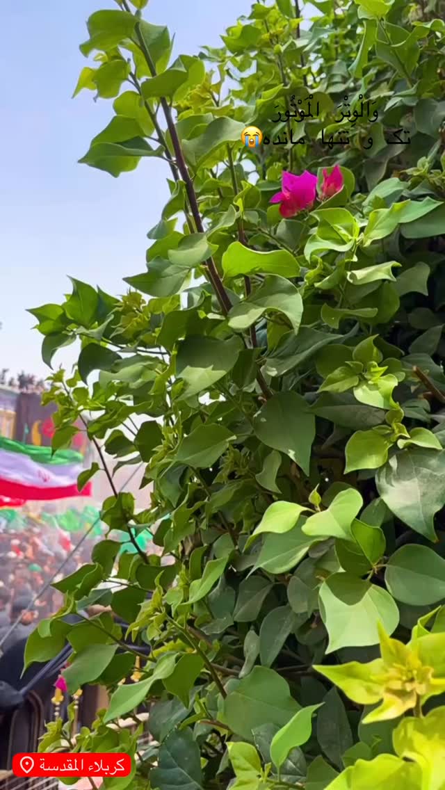  جدید ترین استوری اینستاگرام زهرا شاهین فر