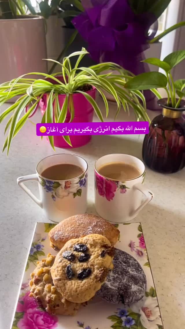  جدید ترین استوری اینستاگرام زهرا شاهین فر