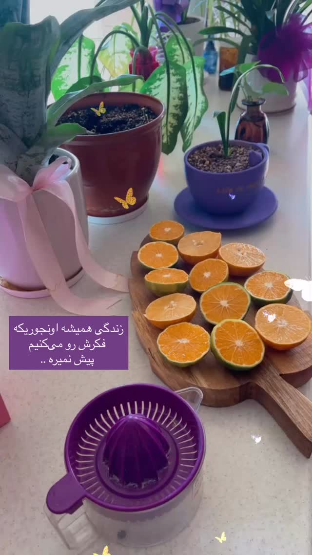  جدید ترین استوری اینستاگرام زهرا شاهین فر