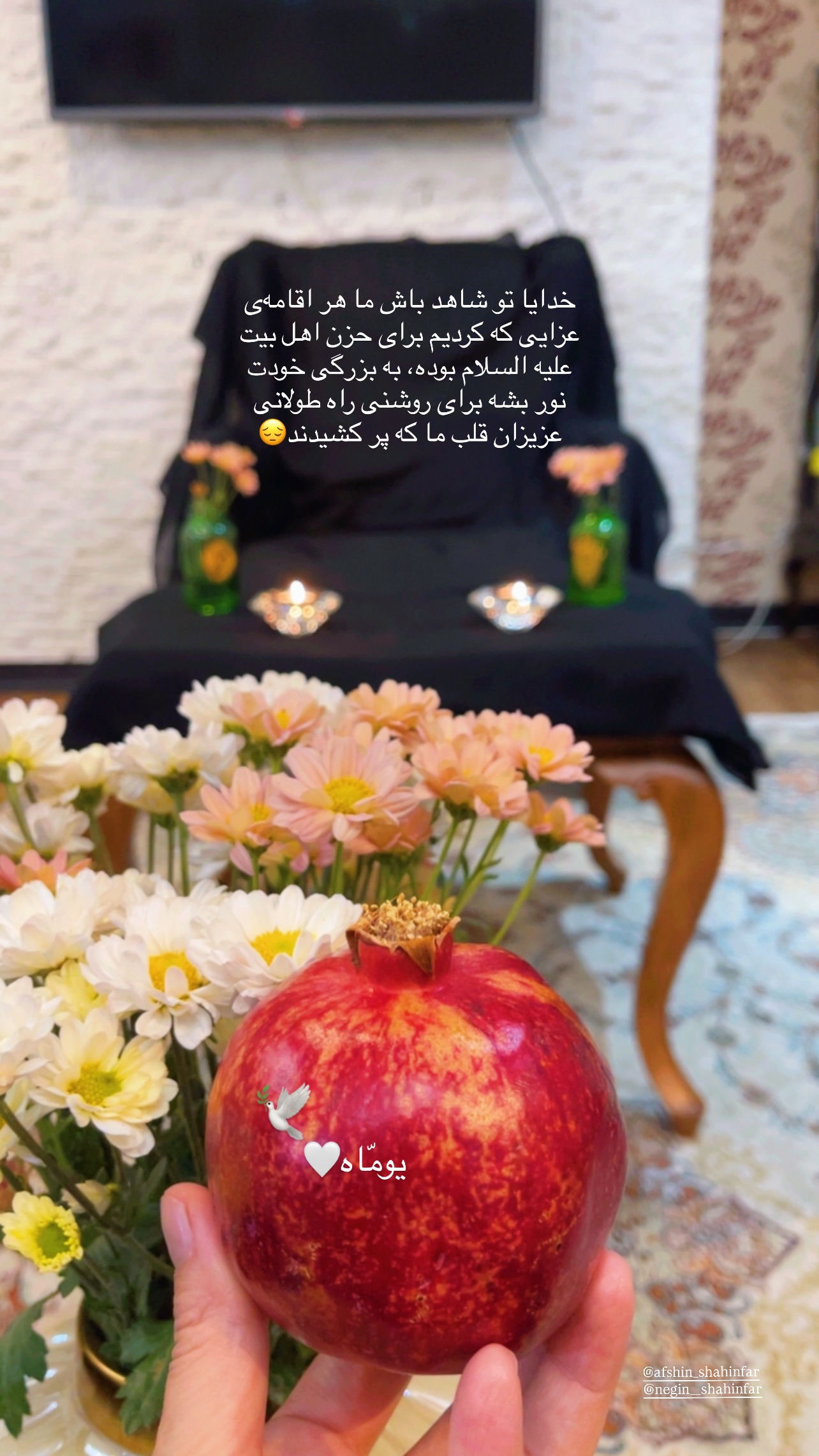  جدید ترین استوری اینستاگرام زهرا شاهین فر