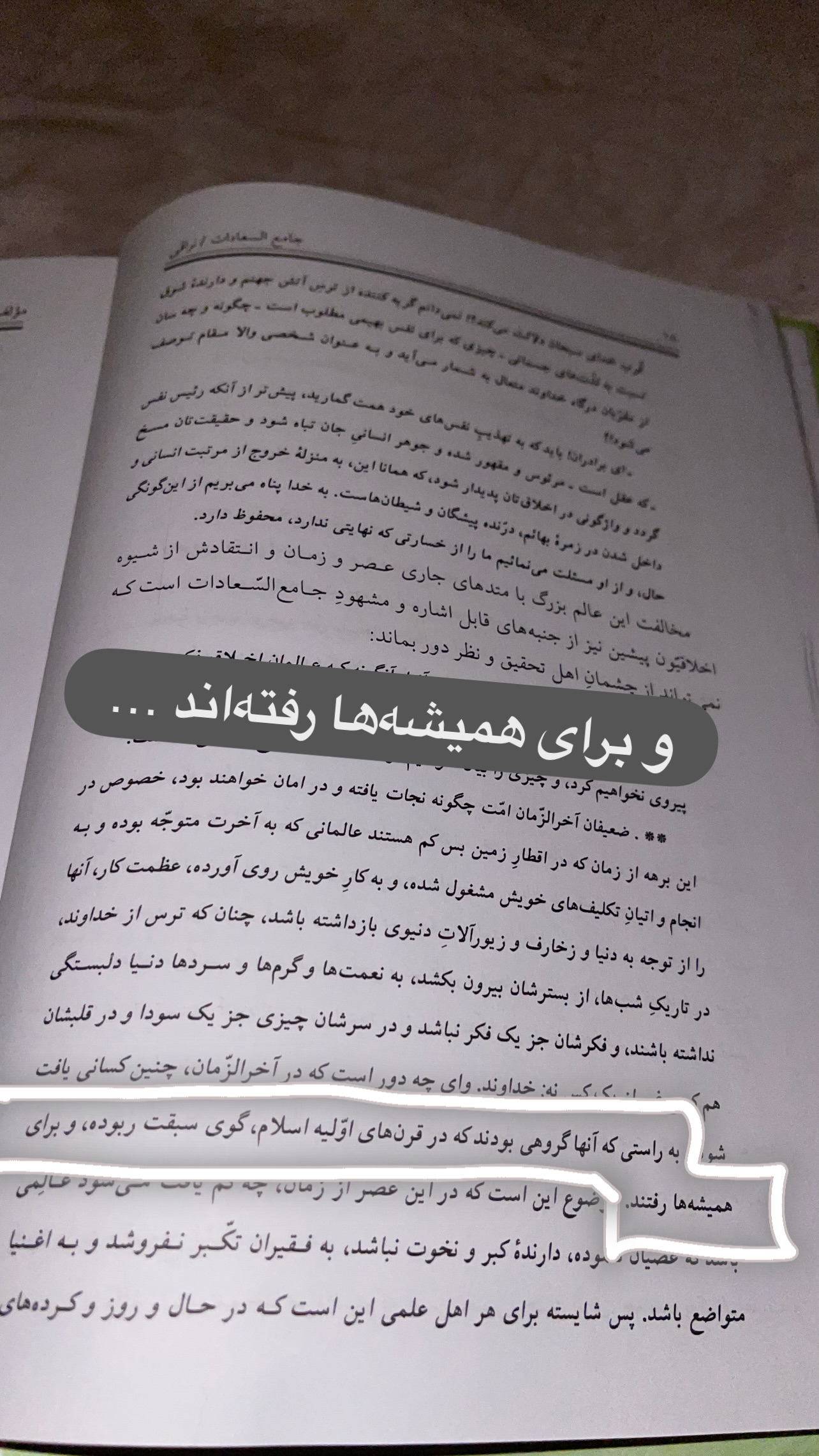  جدید ترین استوری اینستاگرام زهرا شاهین فر