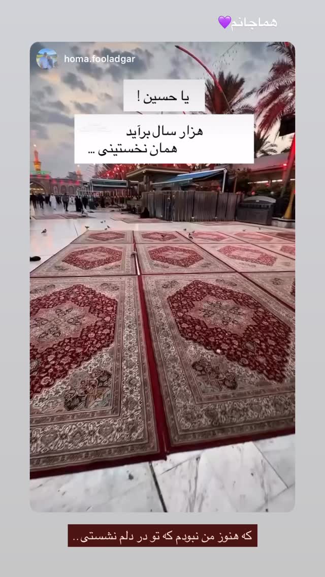  جدید ترین استوری اینستاگرام زهرا شاهین فر