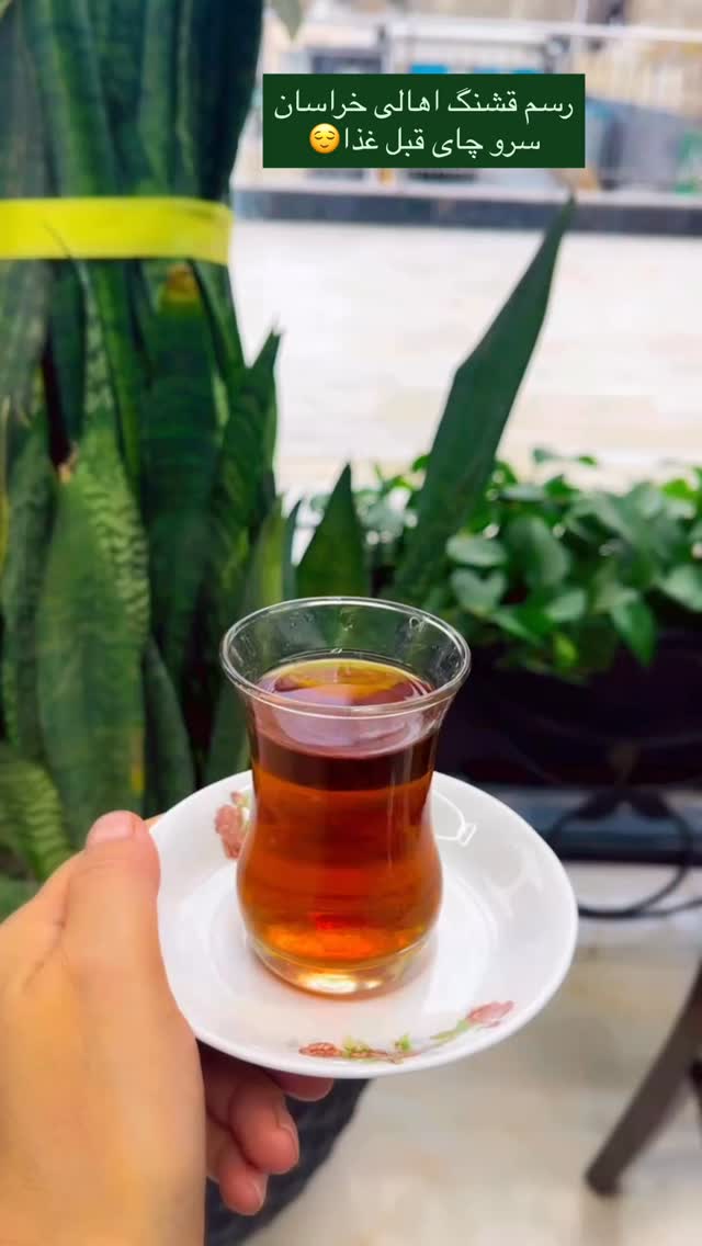  جدید ترین استوری اینستاگرام زهرا شاهین فر