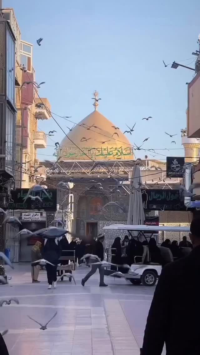  جدید ترین استوری اینستاگرام زهرا شاهین فر