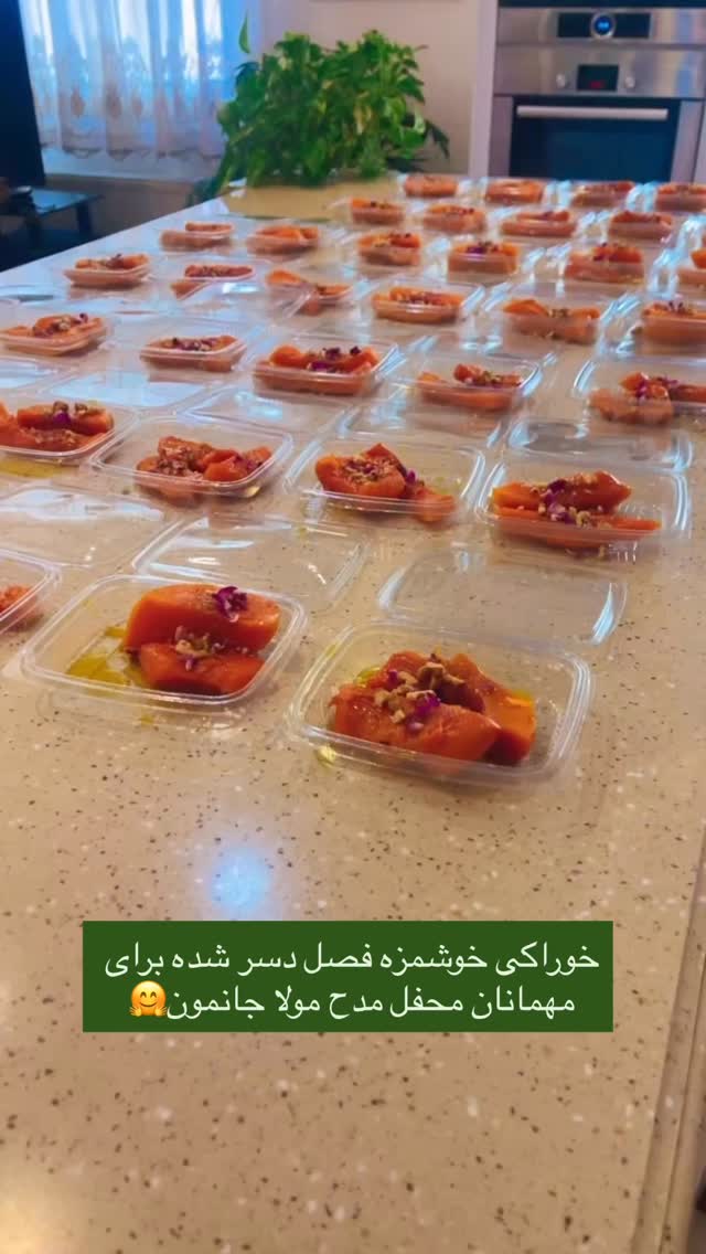  جدید ترین استوری اینستاگرام زهرا شاهین فر