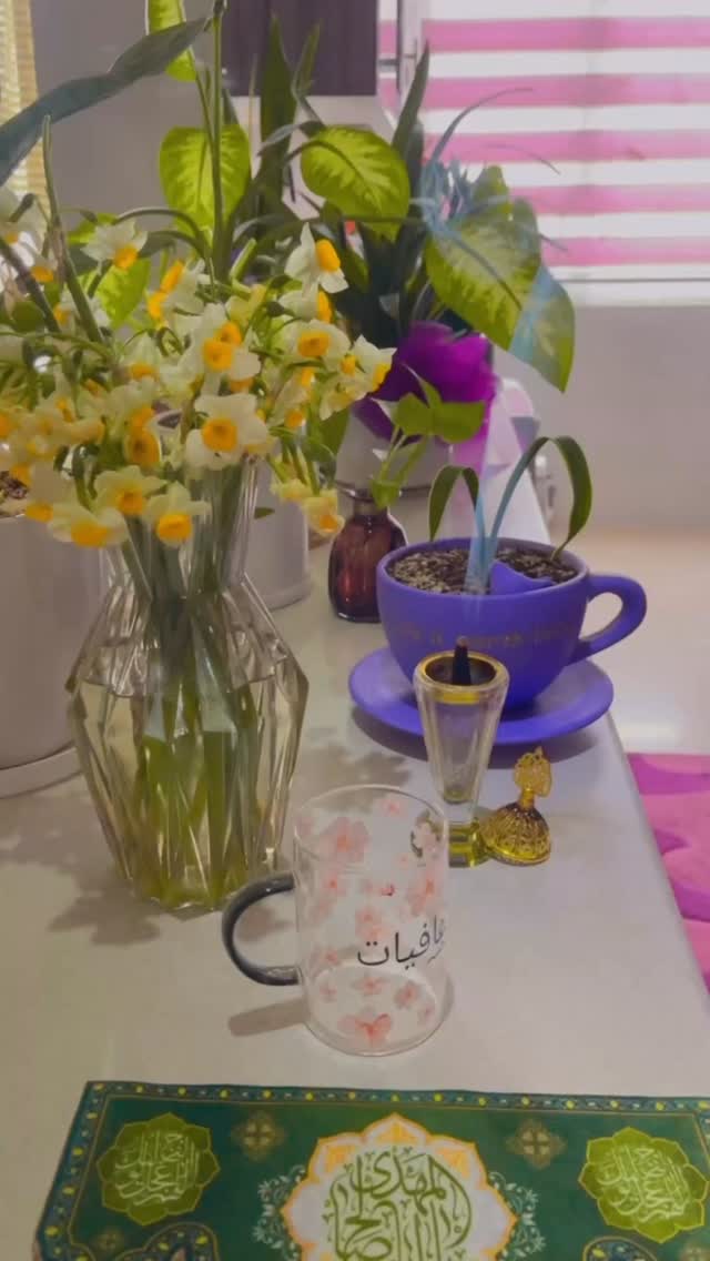  جدید ترین استوری اینستاگرام زهرا شاهین فر