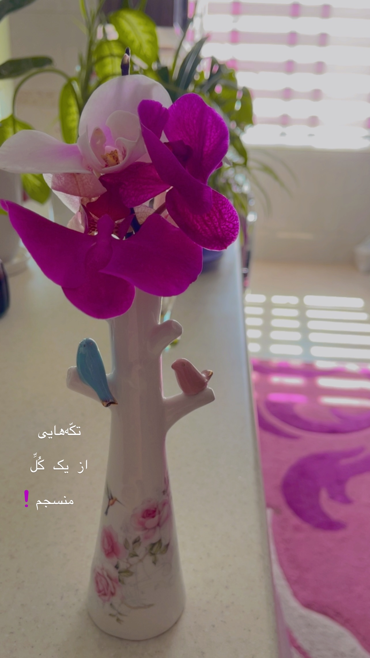  جدید ترین استوری اینستاگرام زهرا شاهین فر