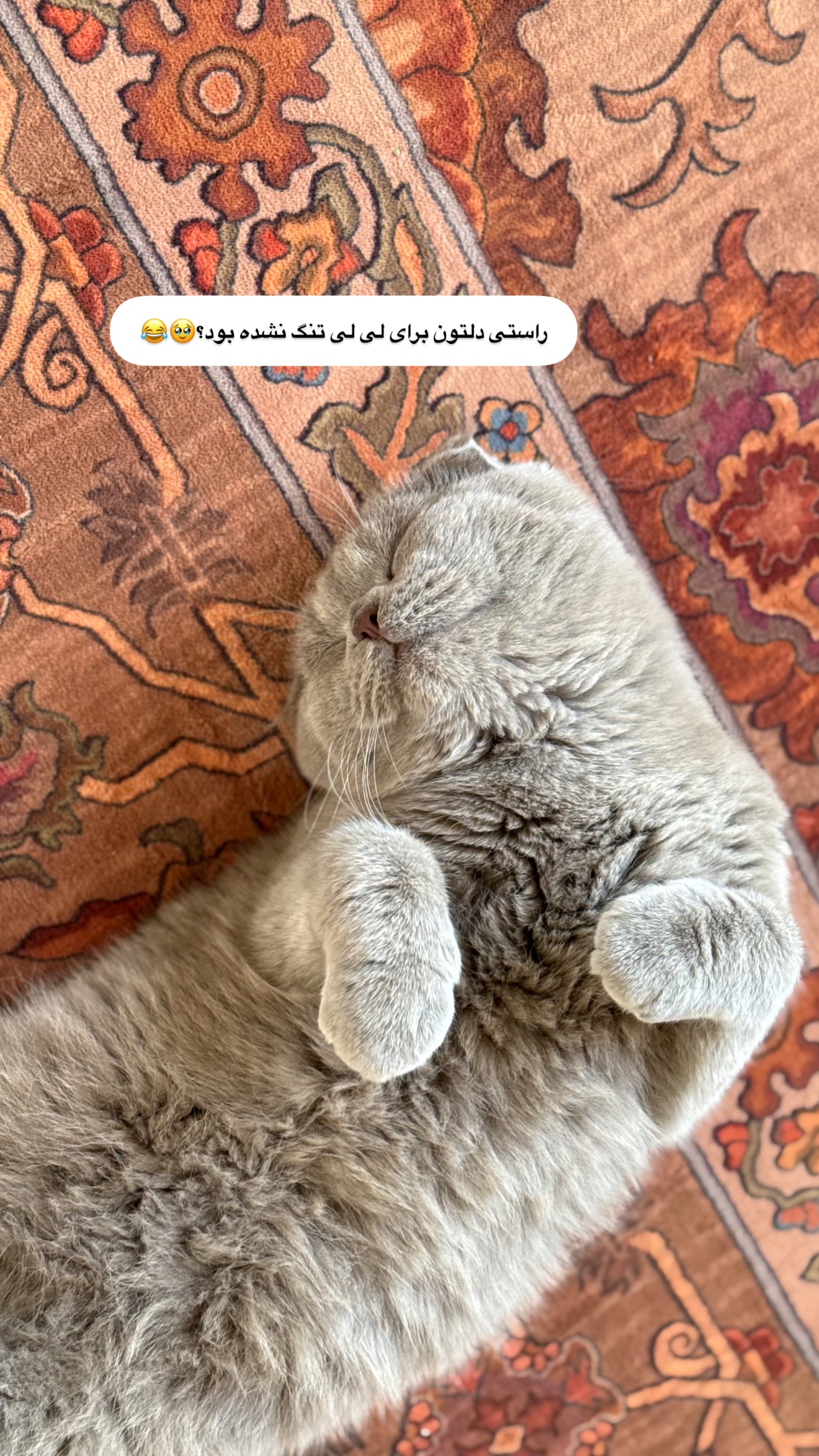  جدید ترین استوری اینستاگرام زهرا تاجیک