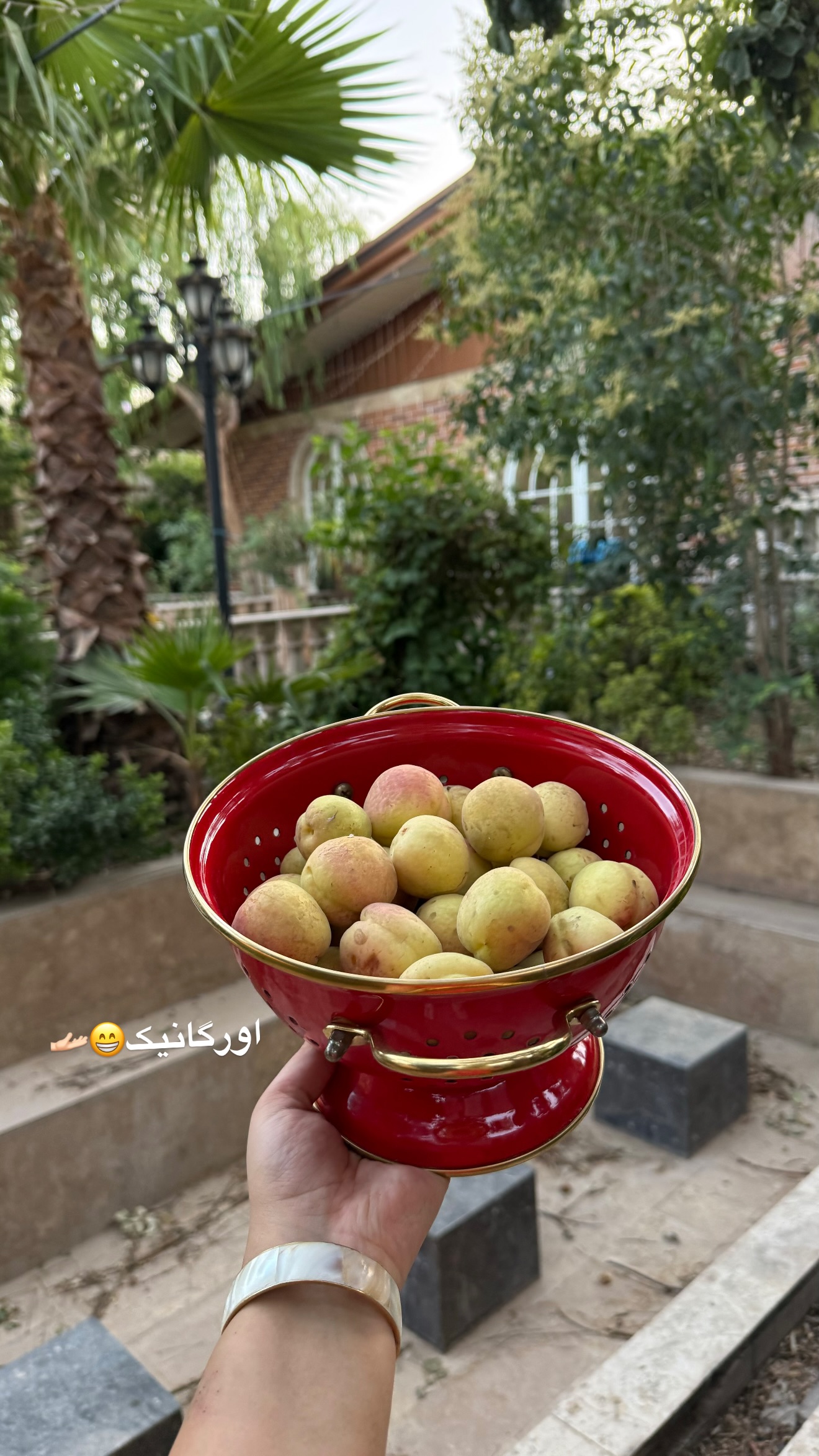  جدید ترین استوری اینستاگرام زهرا تاجیک