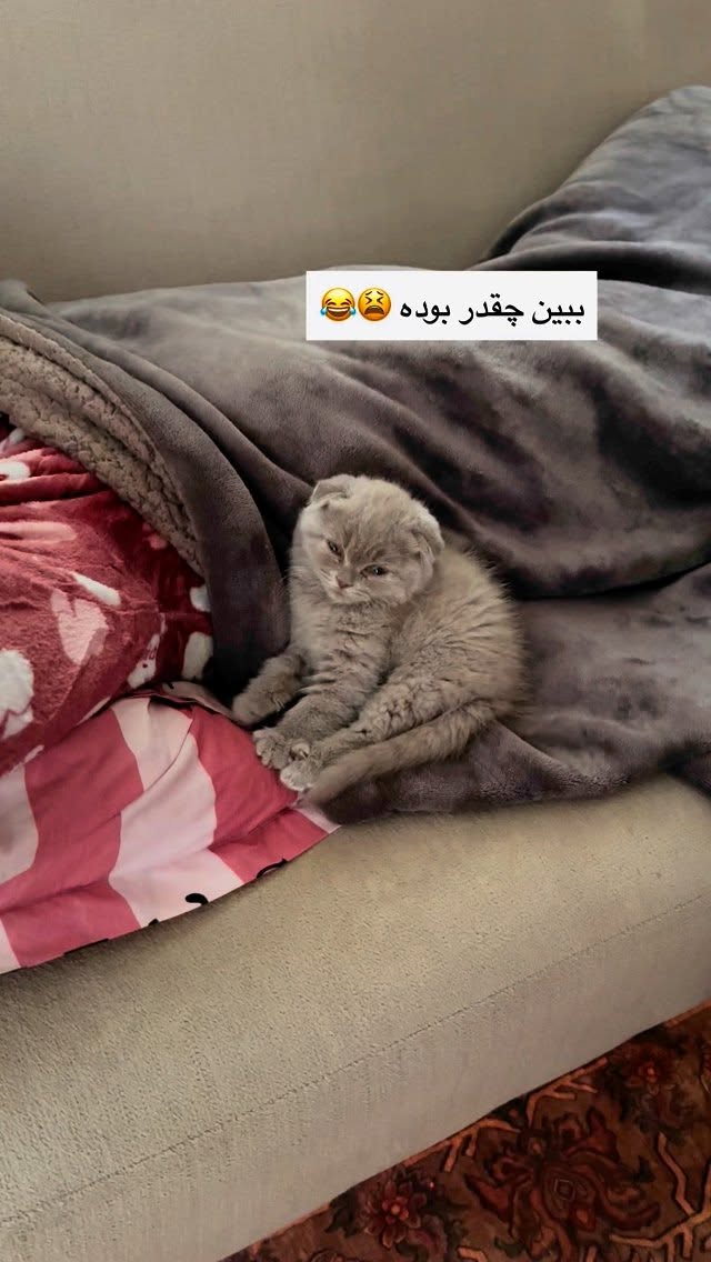  جدید ترین استوری اینستاگرام زهرا تاجیک