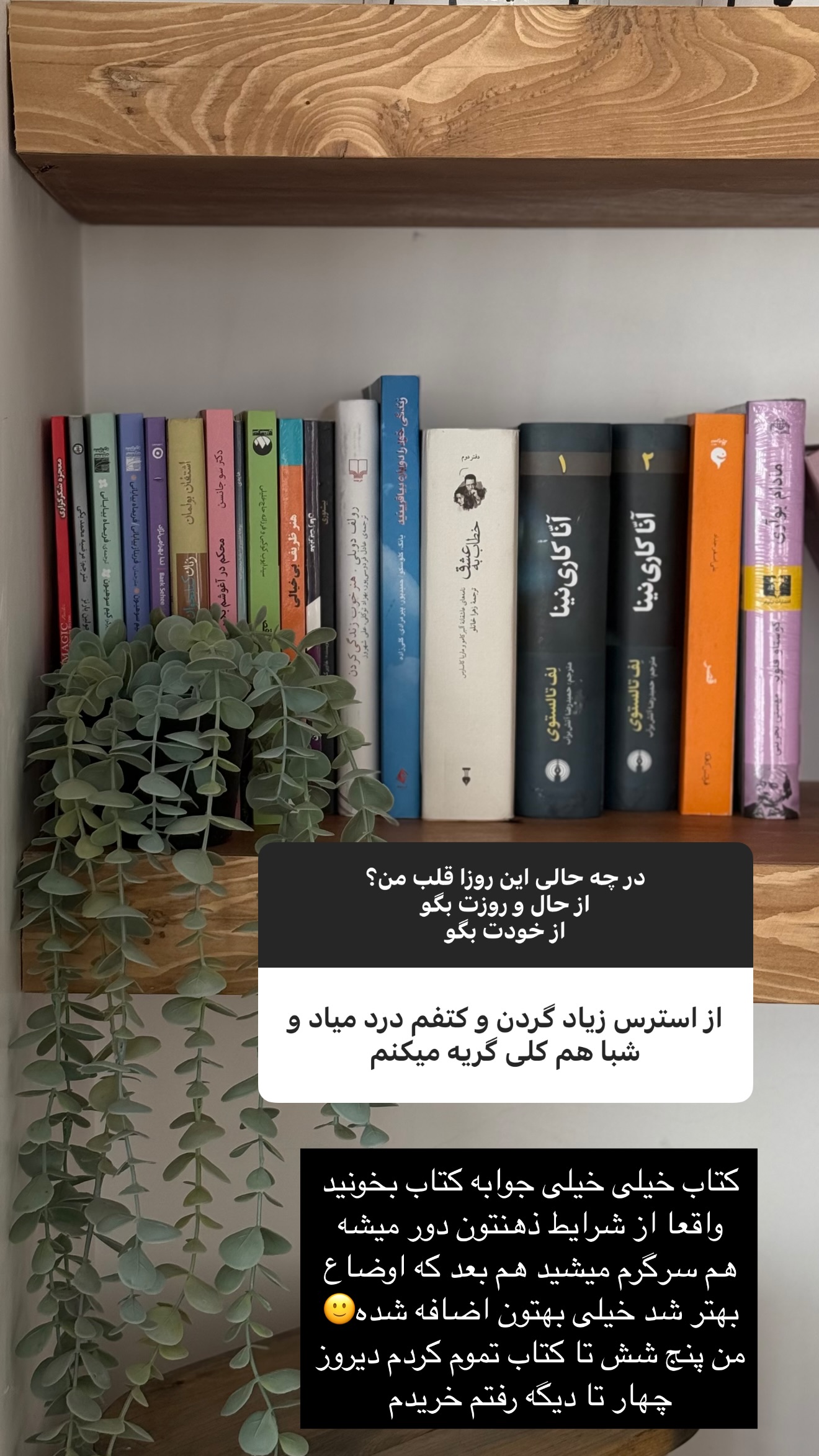  جدید ترین استوری اینستاگرام زهرا تاجیک