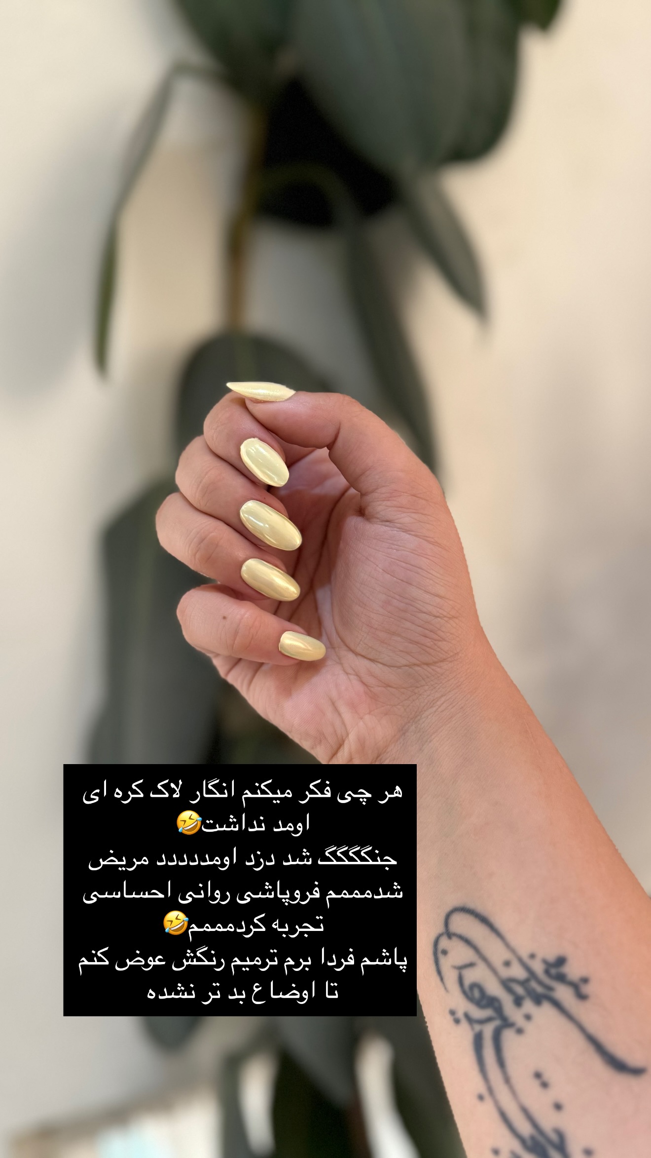  جدید ترین استوری اینستاگرام زهرا تاجیک