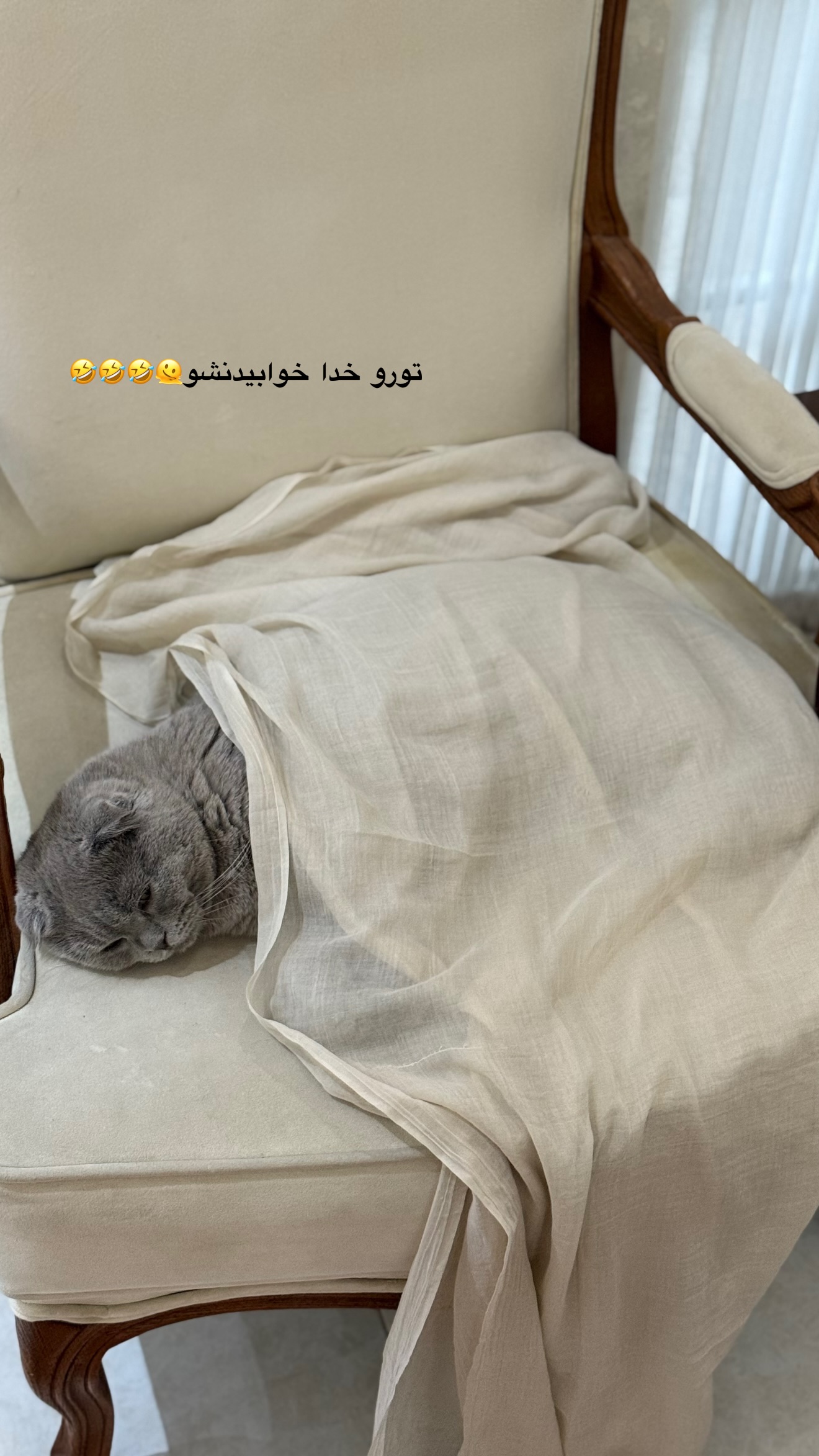  جدید ترین استوری اینستاگرام زهرا تاجیک
