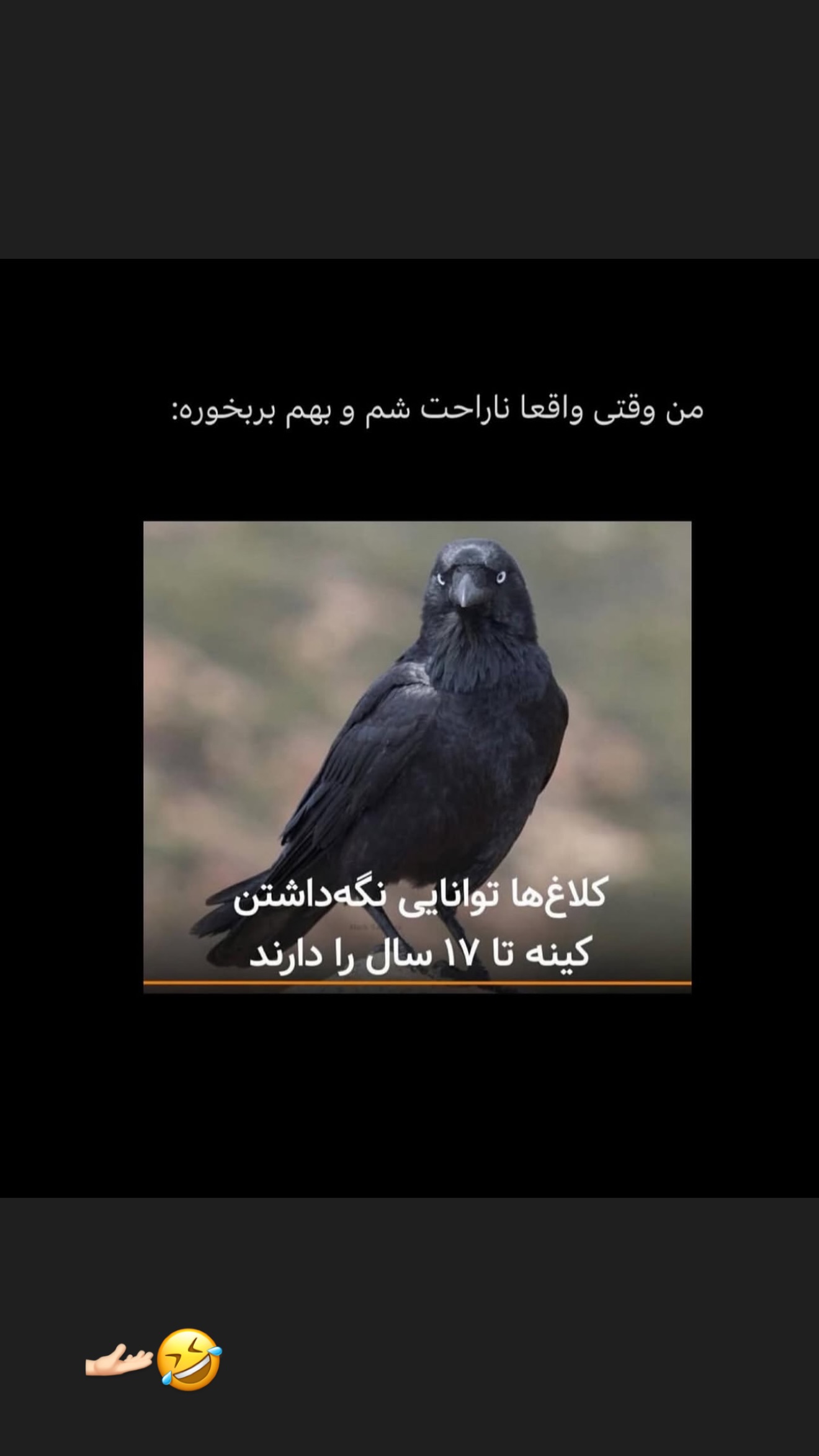  جدید ترین استوری اینستاگرام زهرا تاجیک