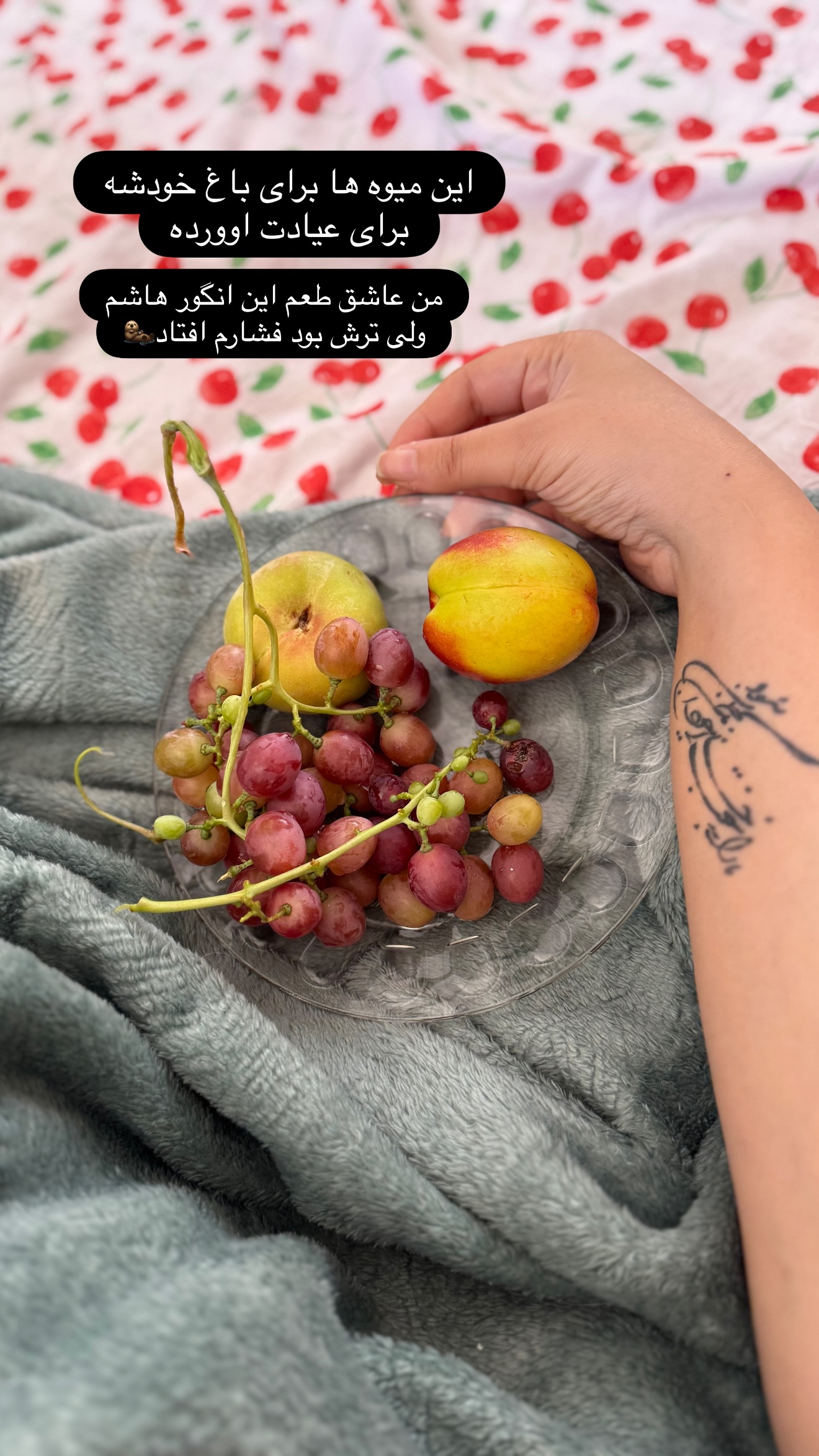  جدید ترین استوری اینستاگرام زهرا تاجیک