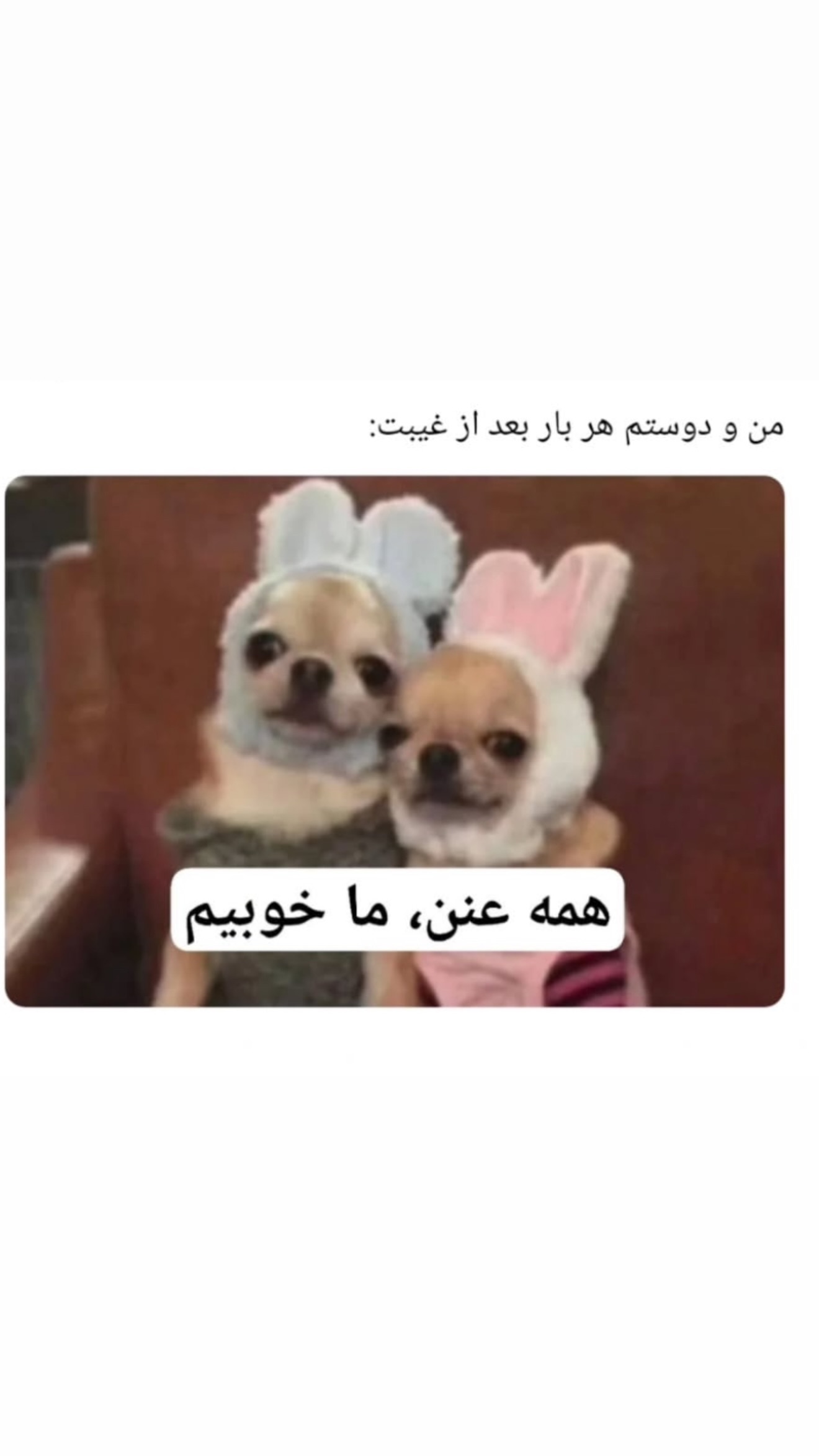  جدید ترین استوری اینستاگرام زهرا تاجیک