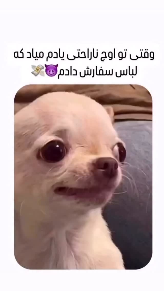  جدید ترین استوری اینستاگرام زهرا تاجیک
