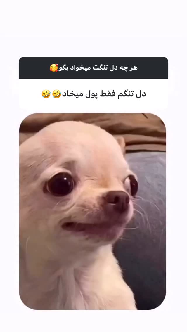  جدید ترین استوری اینستاگرام زهرا تاجیک