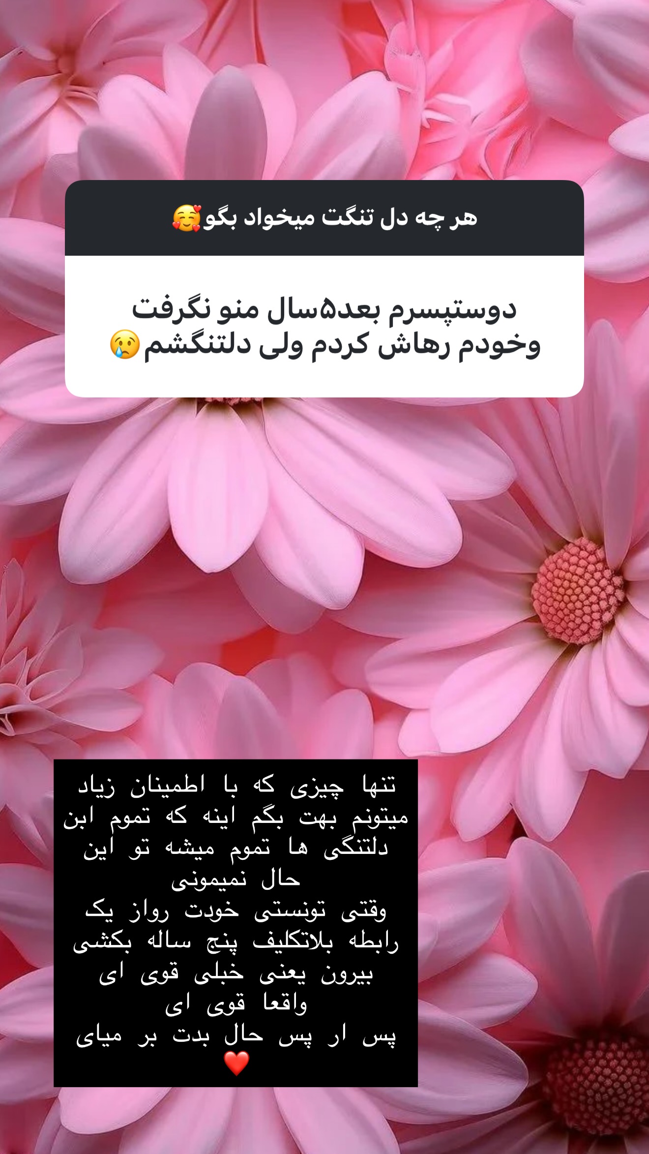  جدید ترین استوری اینستاگرام زهرا تاجیک