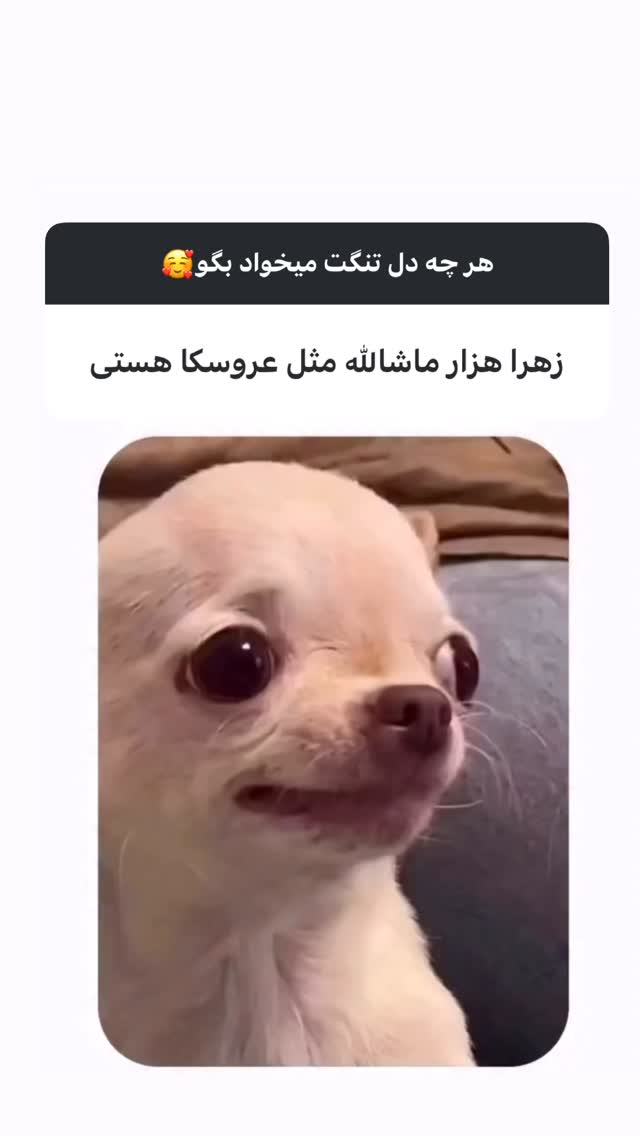  جدید ترین استوری اینستاگرام زهرا تاجیک