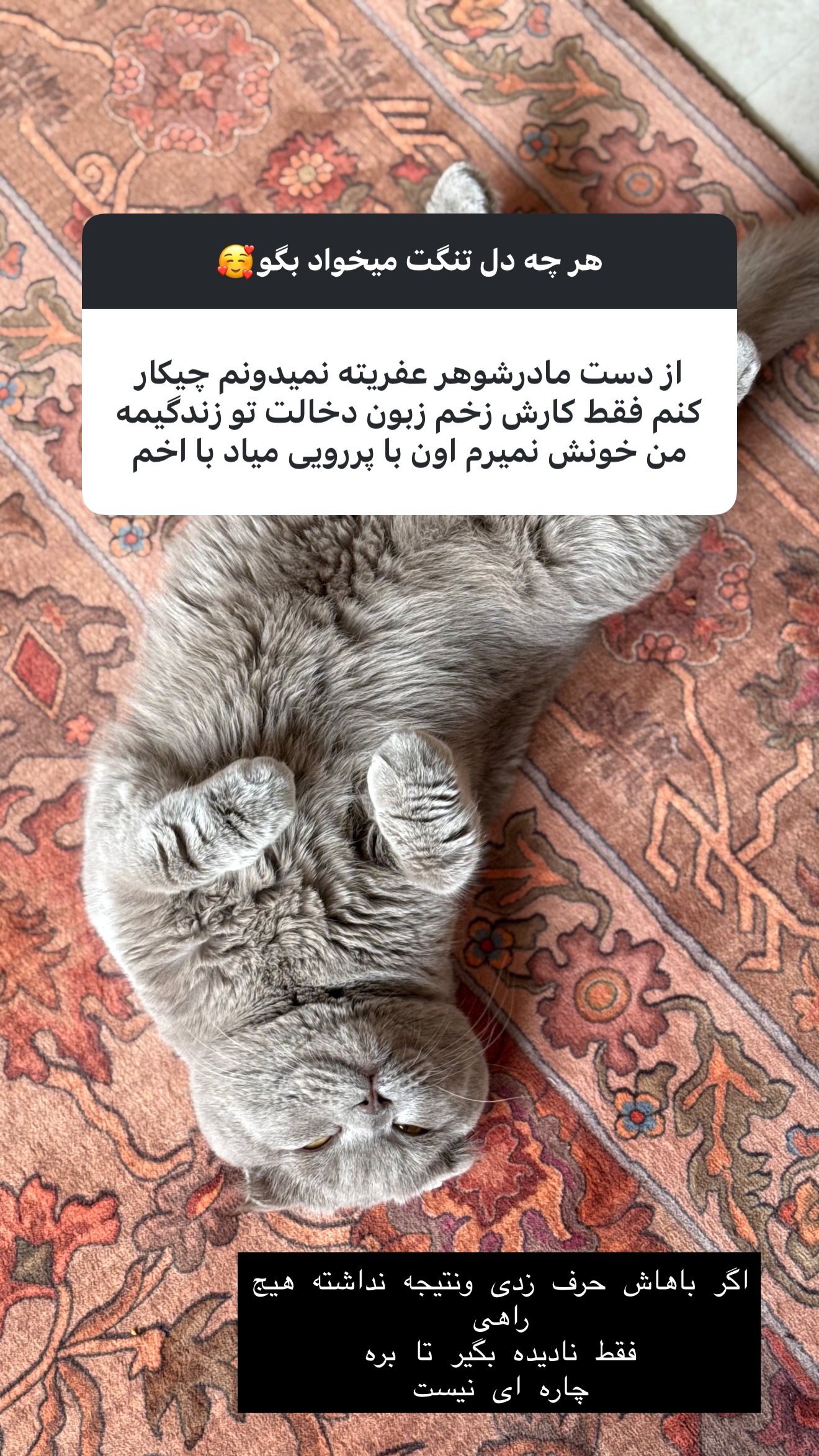  جدید ترین استوری اینستاگرام زهرا تاجیک
