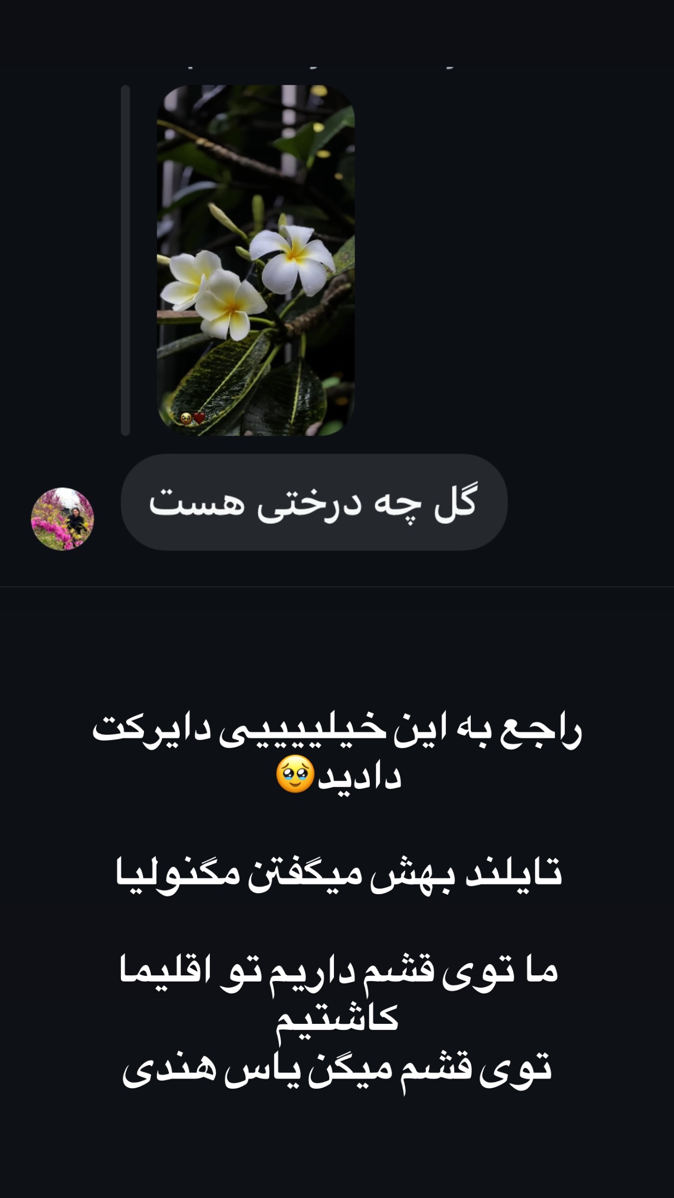  جدید ترین استوری اینستاگرام زهرا تاجیک
