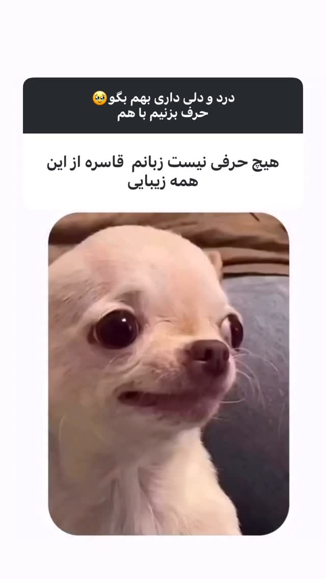  جدید ترین استوری اینستاگرام زهرا تاجیک