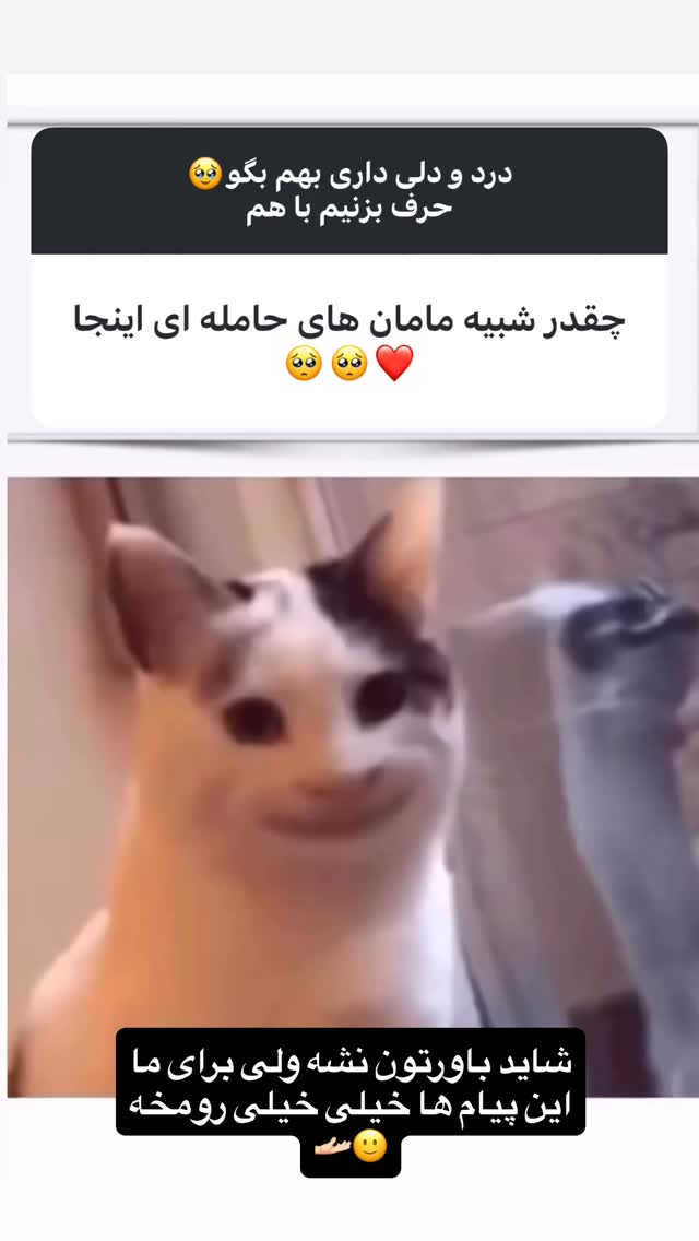  جدید ترین استوری اینستاگرام زهرا تاجیک