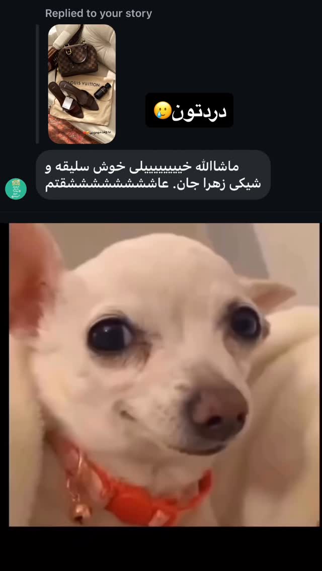  جدید ترین استوری اینستاگرام زهرا تاجیک