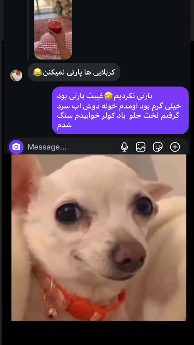  جدید ترین استوری اینستاگرام زهرا تاجیک