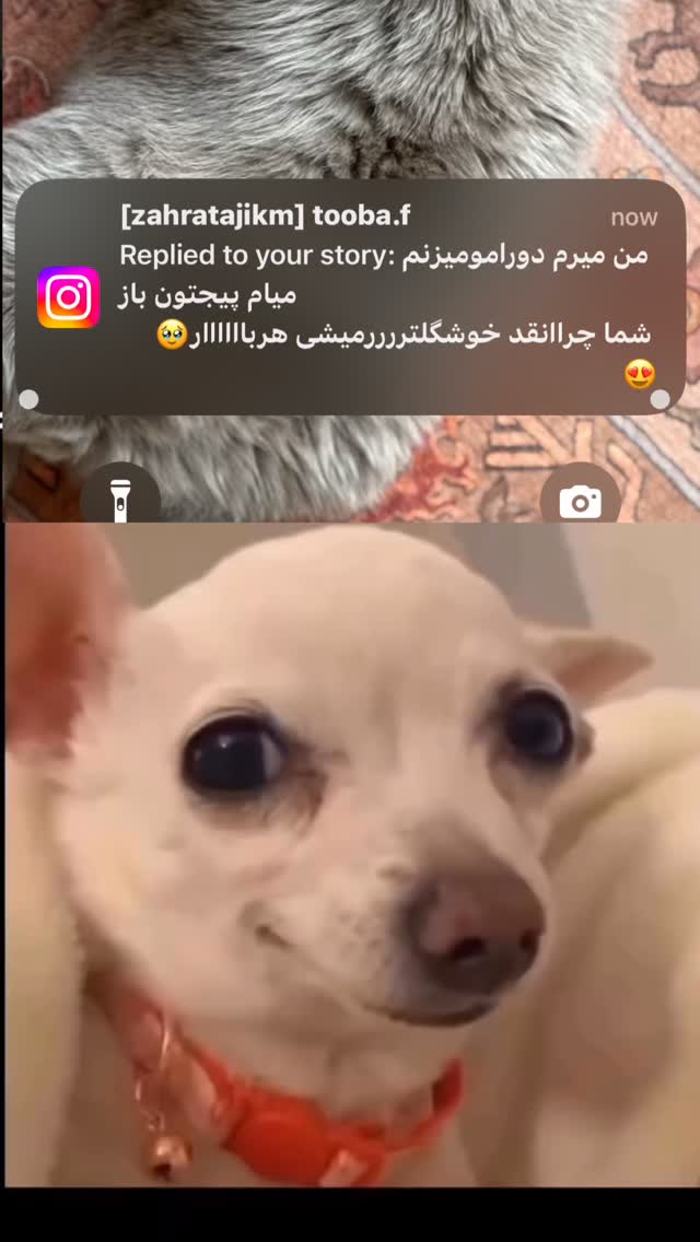  جدید ترین استوری اینستاگرام زهرا تاجیک
