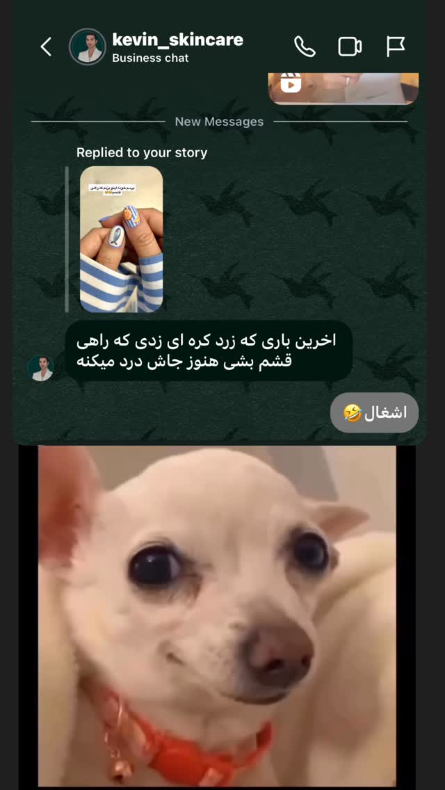  جدید ترین استوری اینستاگرام زهرا تاجیک