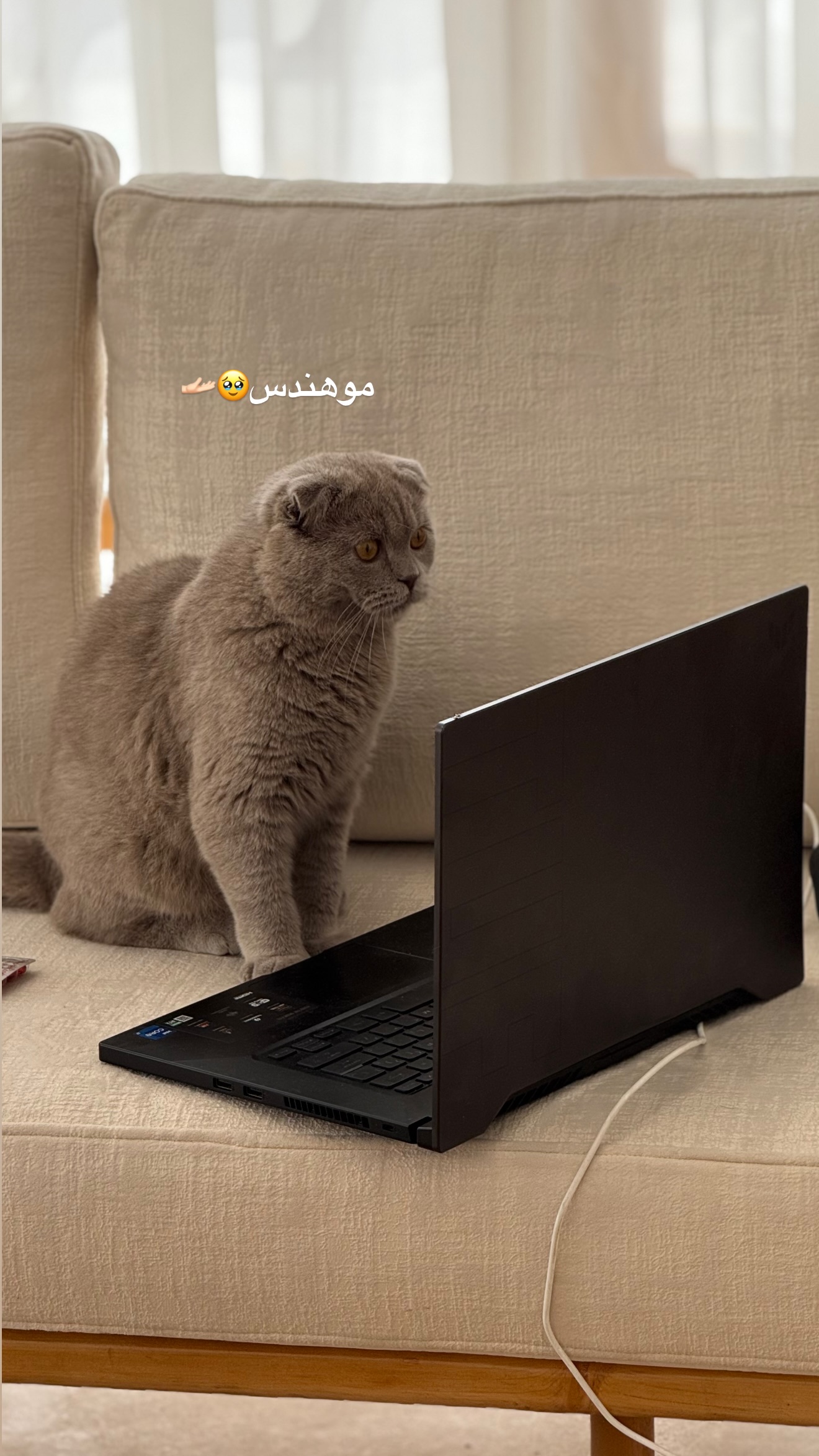  جدید ترین استوری اینستاگرام زهرا تاجیک