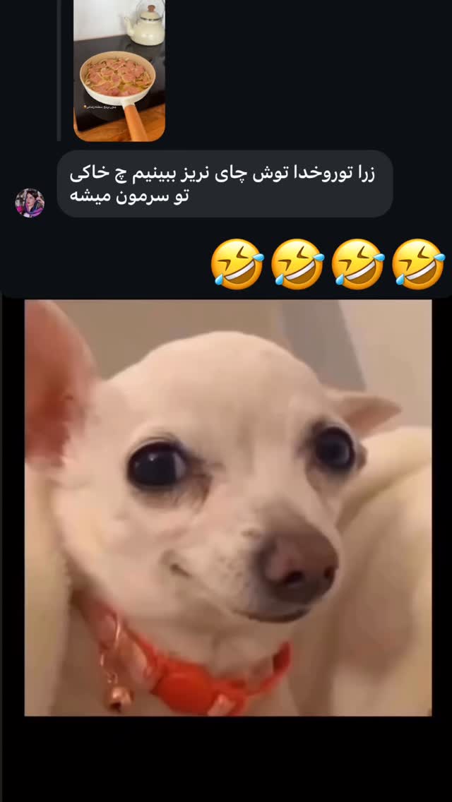  جدید ترین استوری اینستاگرام زهرا تاجیک