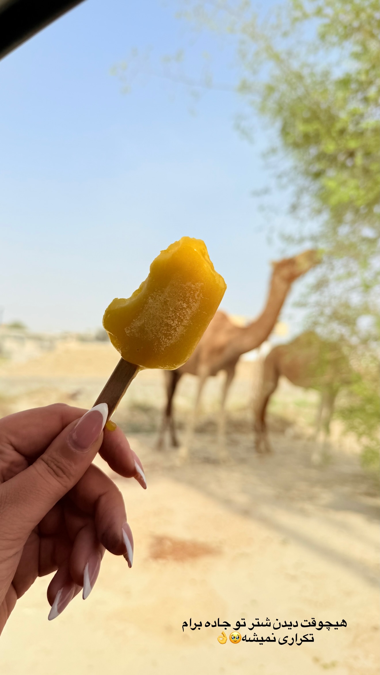  جدید ترین استوری اینستاگرام زهرا تاجیک