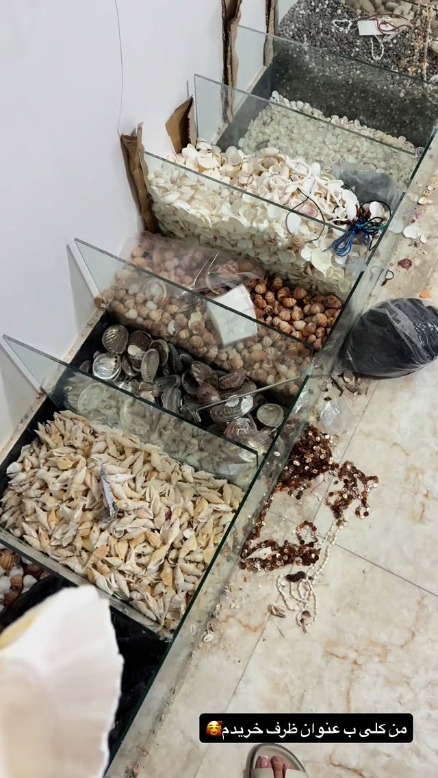  جدید ترین استوری اینستاگرام زهرا تاجیک