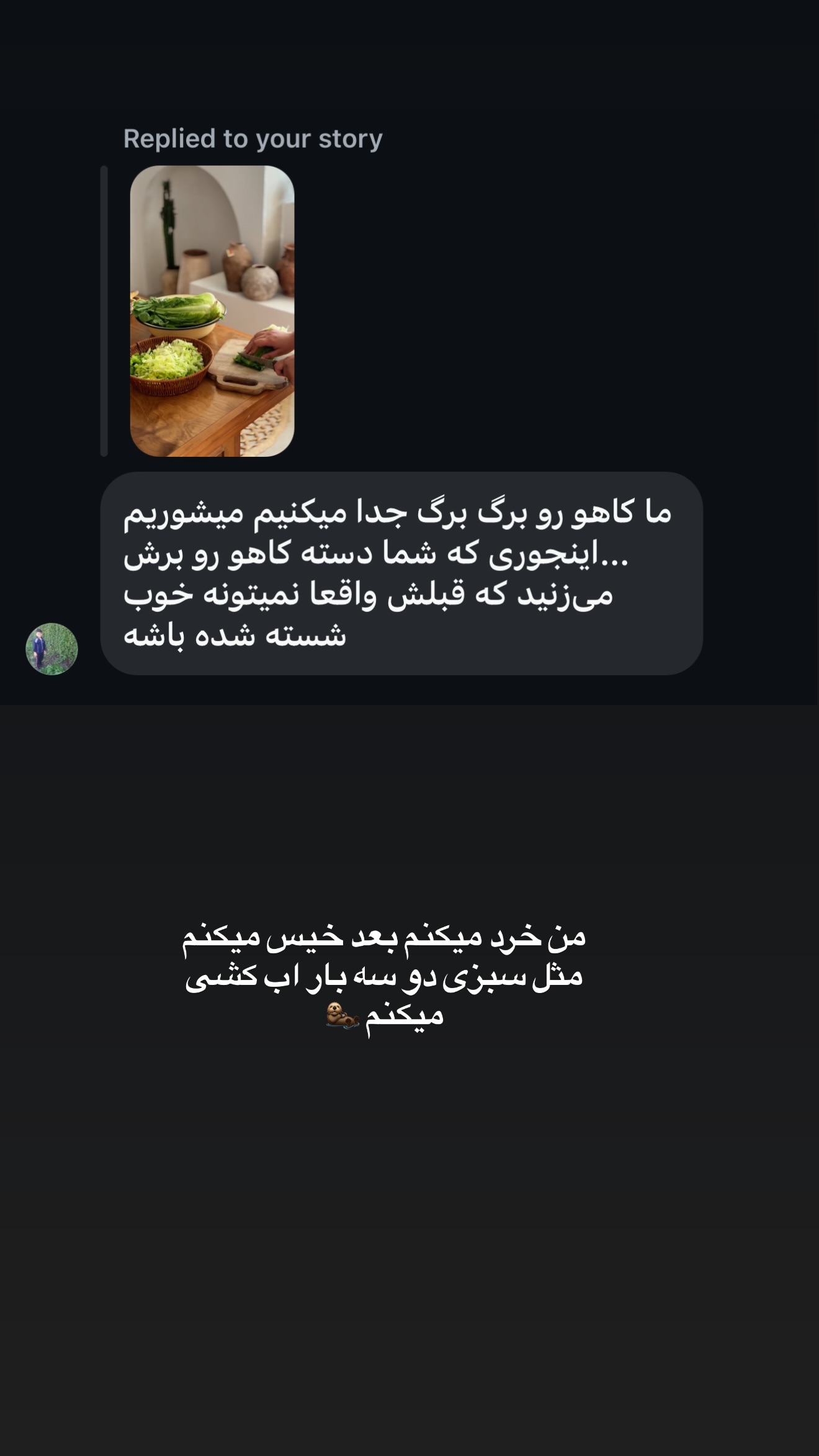  جدید ترین استوری اینستاگرام زهرا تاجیک