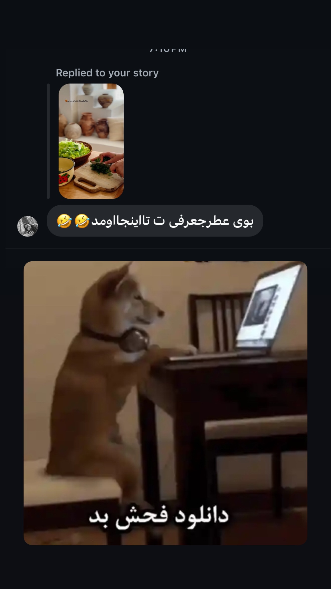  جدید ترین استوری اینستاگرام زهرا تاجیک