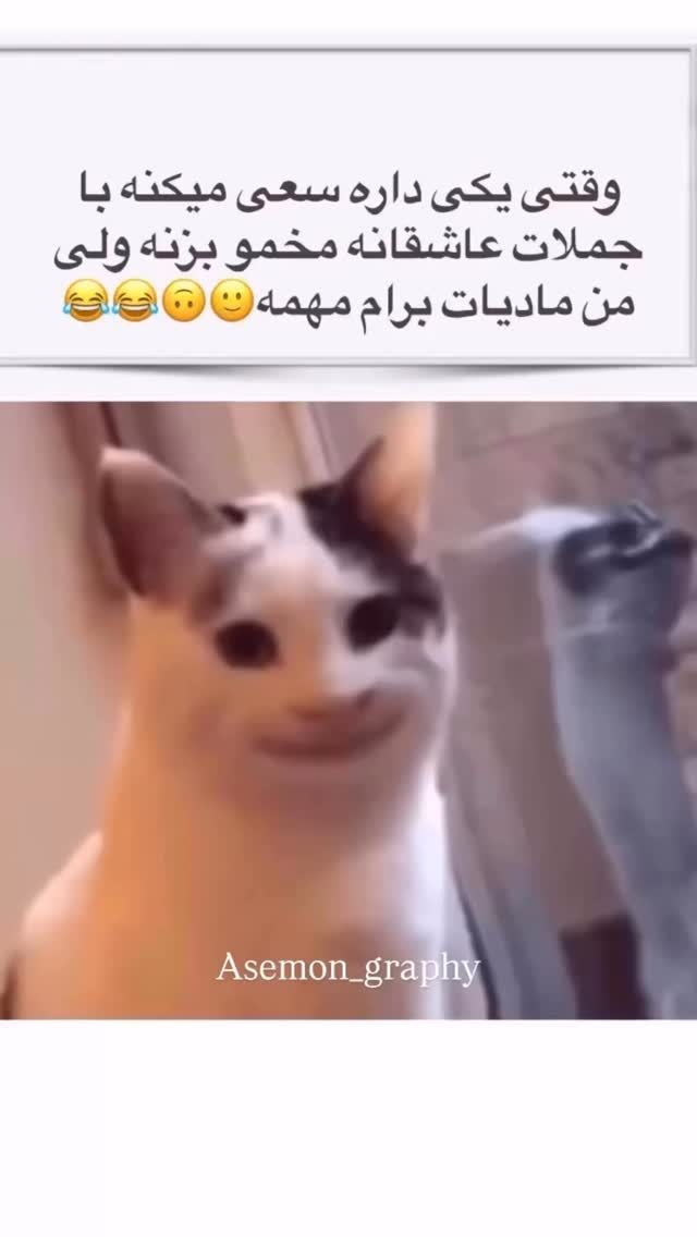  جدید ترین استوری اینستاگرام زهرا تاجیک