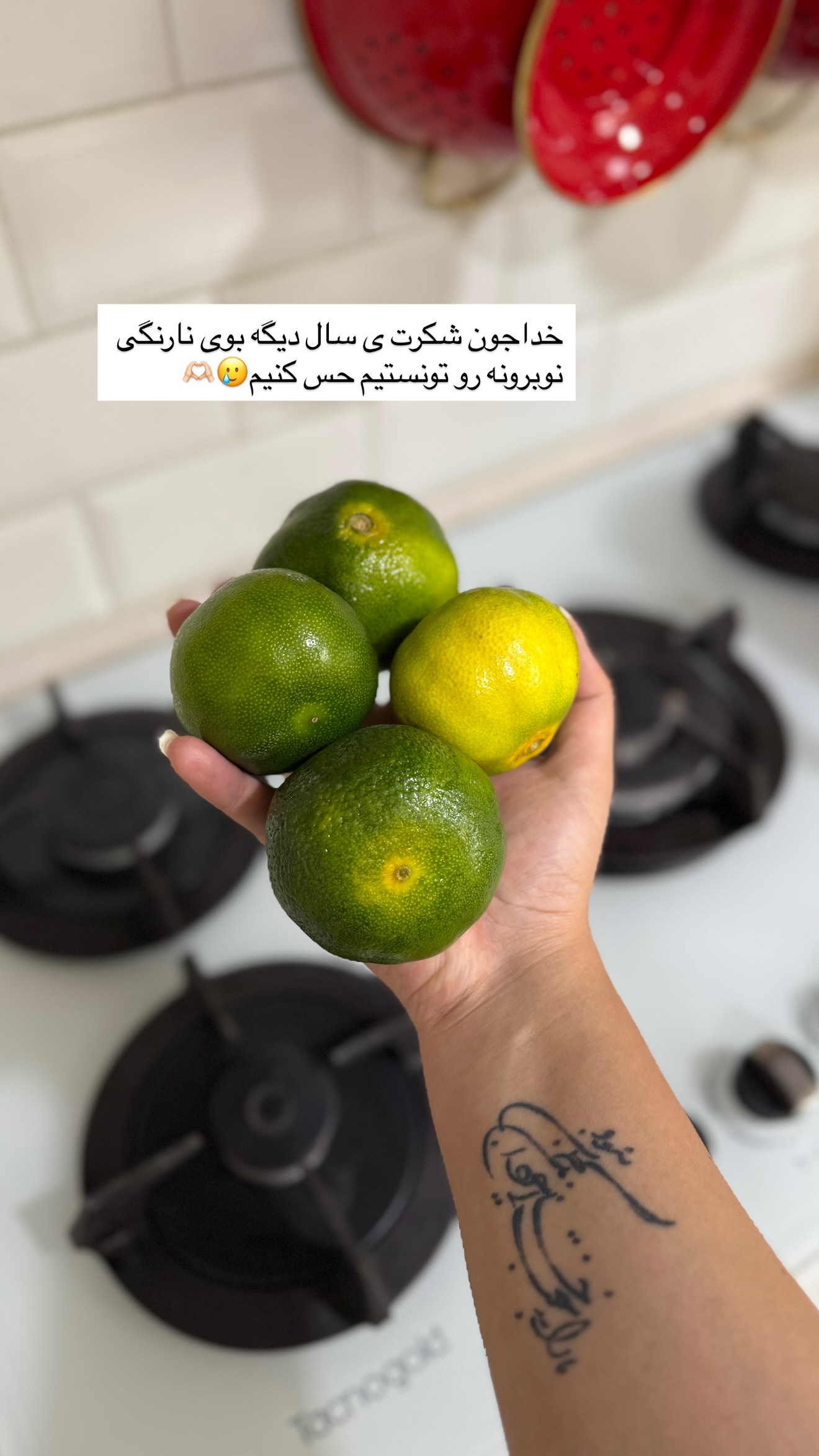  جدید ترین استوری اینستاگرام زهرا تاجیک