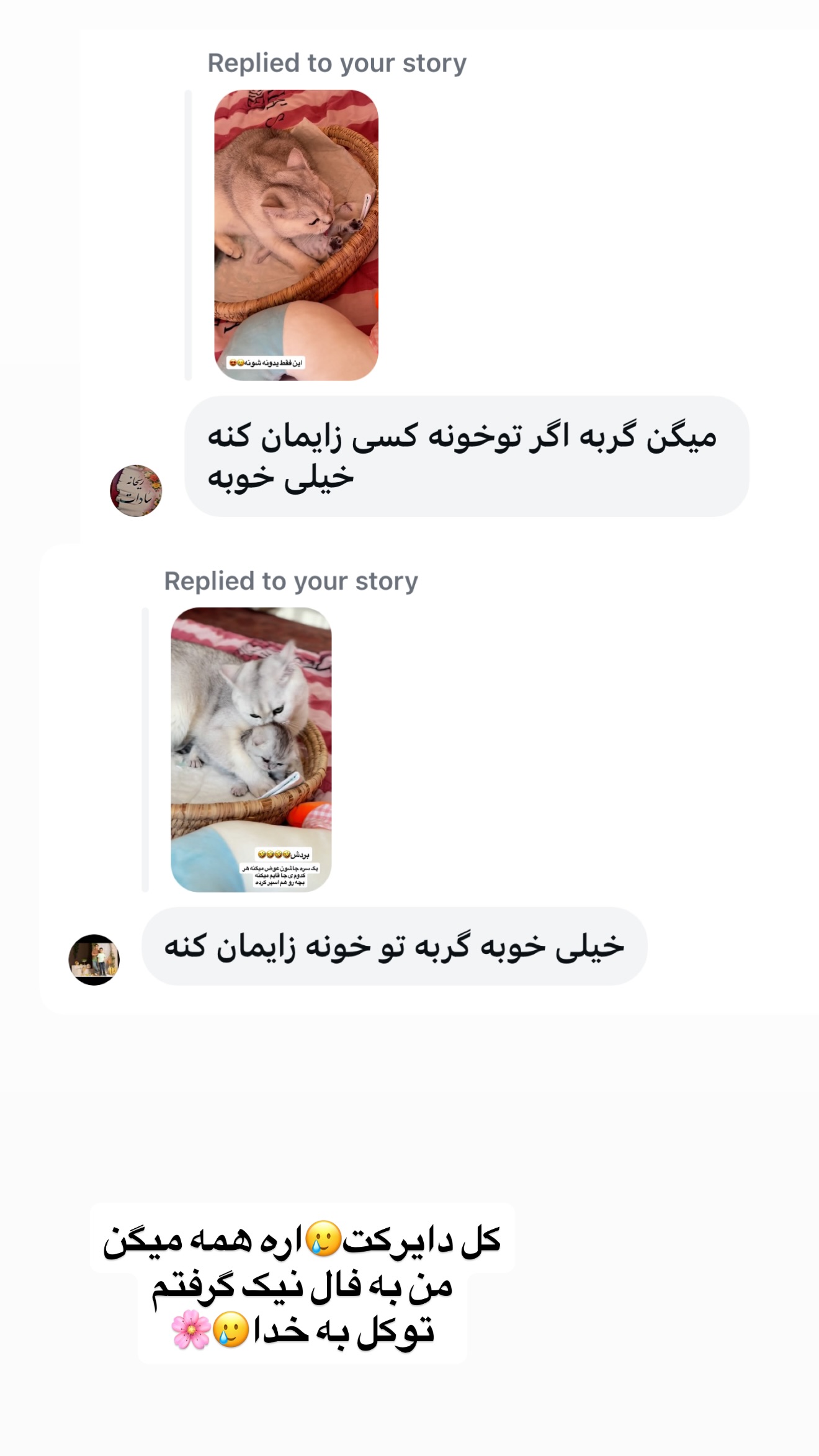  جدید ترین استوری اینستاگرام زهرا تاجیک