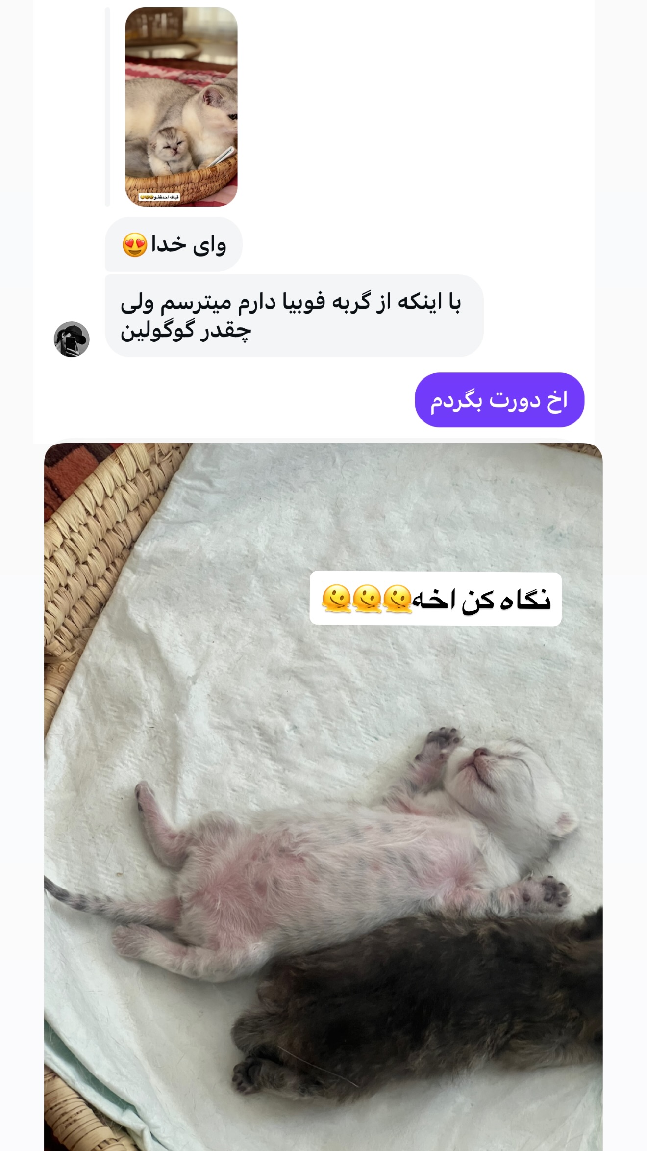  جدید ترین استوری اینستاگرام زهرا تاجیک