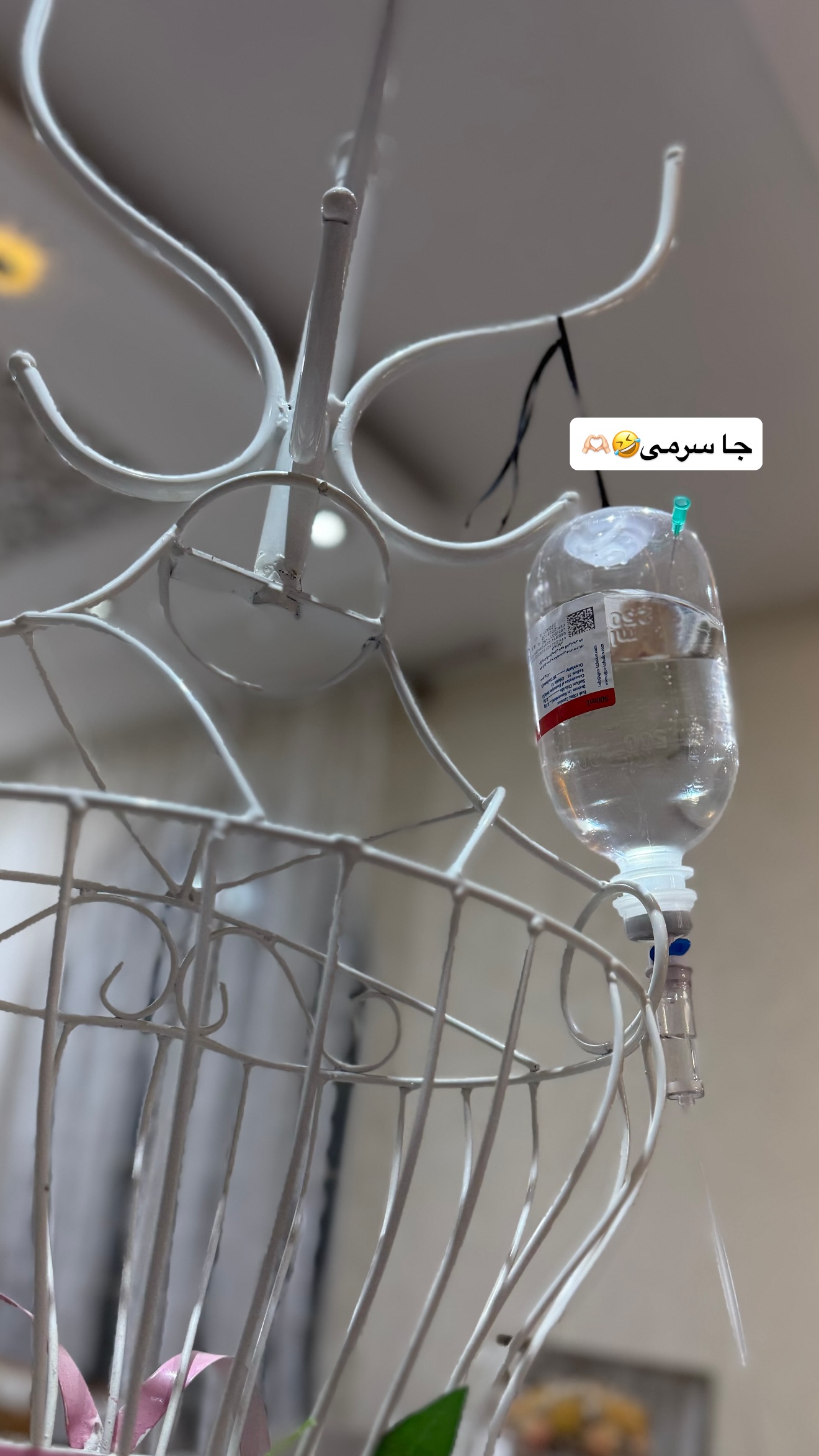  جدید ترین استوری اینستاگرام زهرا تاجیک