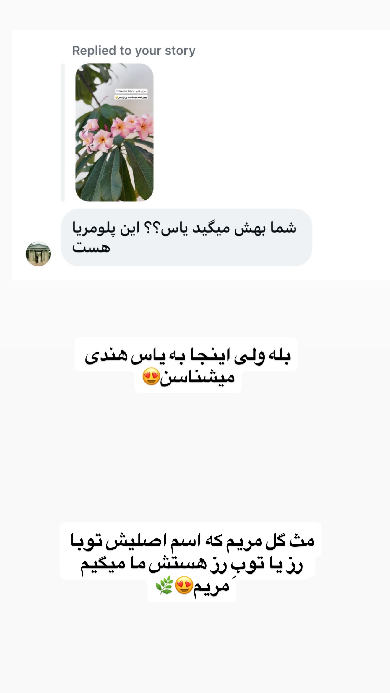  جدید ترین استوری اینستاگرام زهرا تاجیک