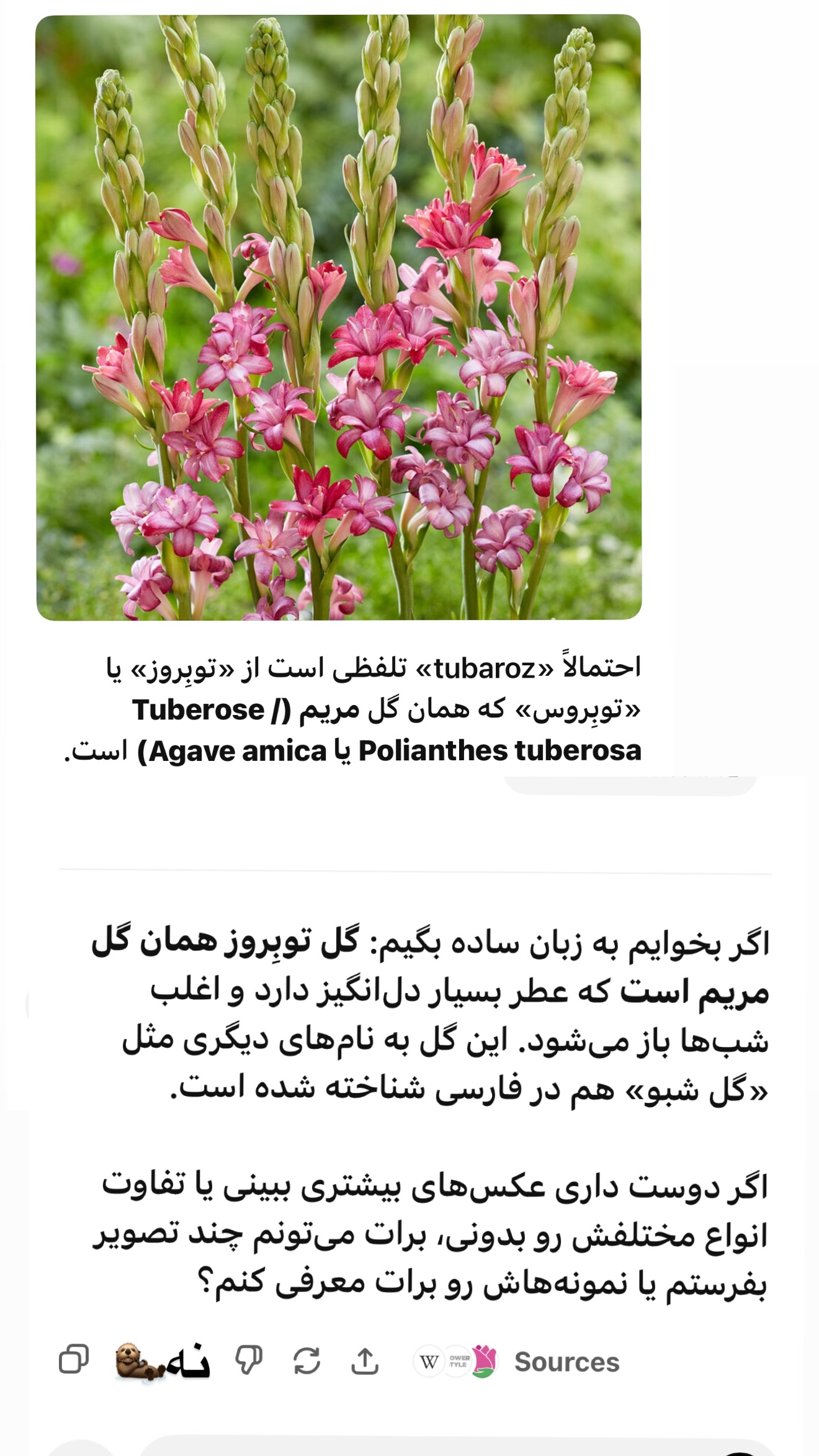  جدید ترین استوری اینستاگرام زهرا تاجیک