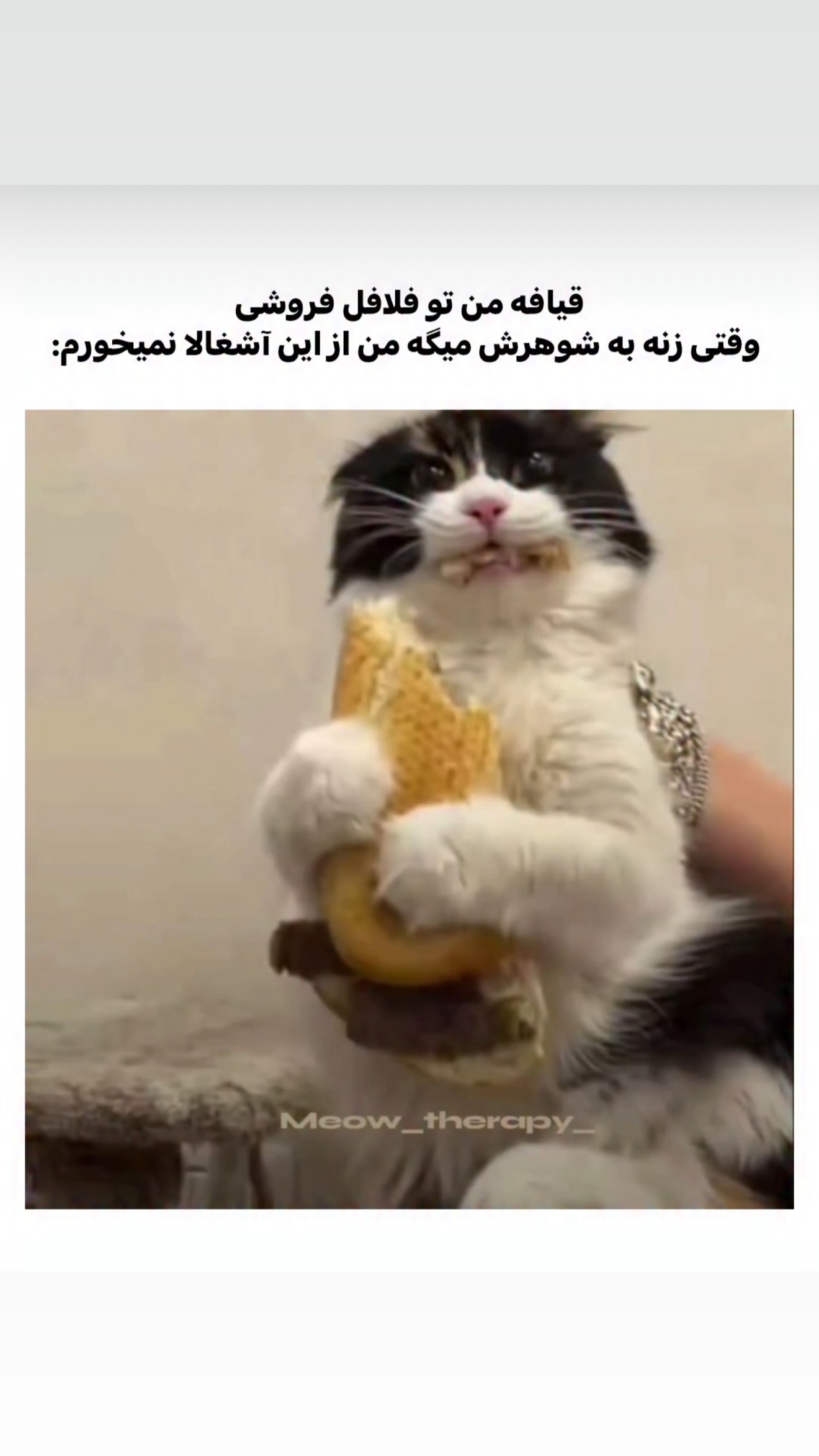  جدید ترین استوری اینستاگرام زهرا تاجیک