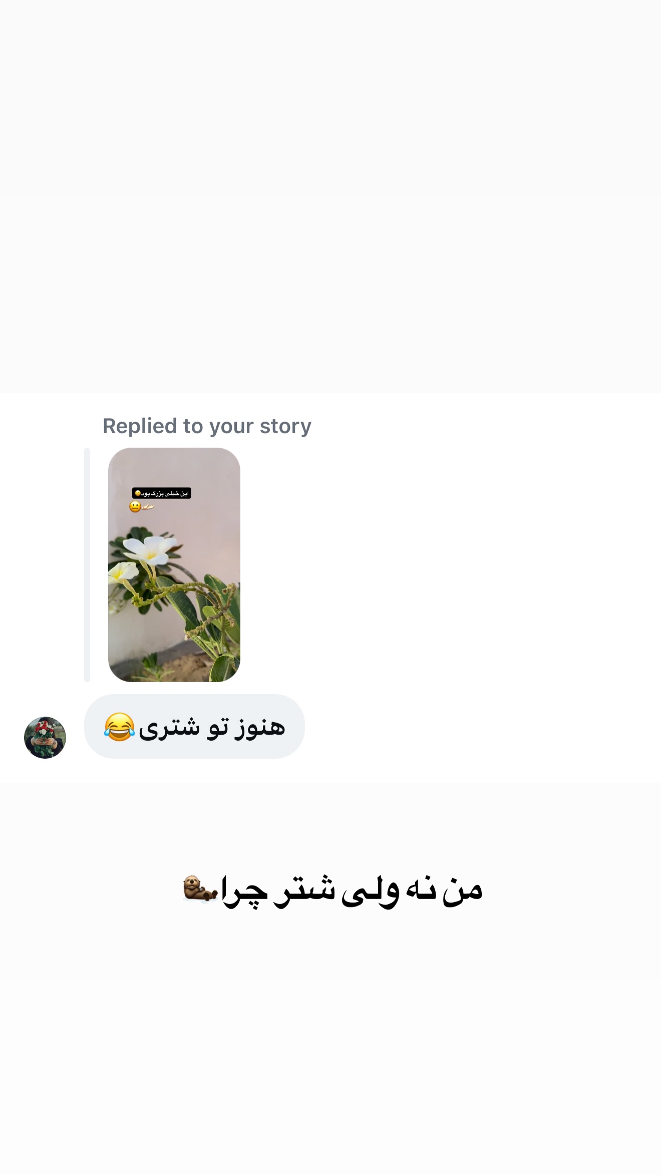  جدید ترین استوری اینستاگرام زهرا تاجیک
