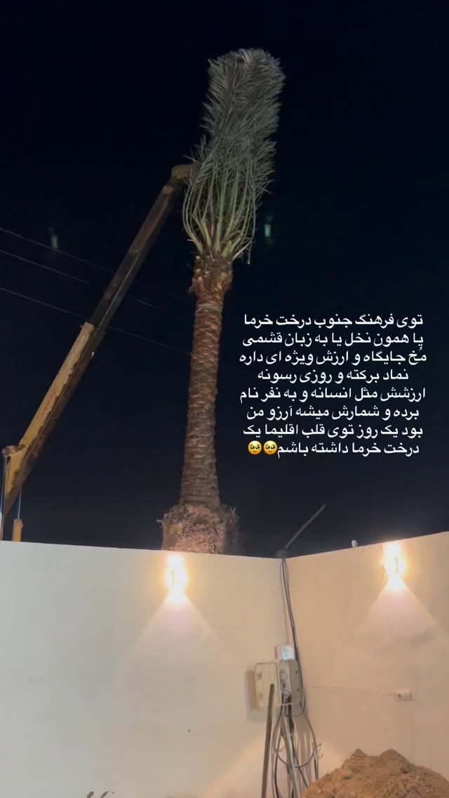 جدید ترین استوری اینستاگرام زهرا تاجیک