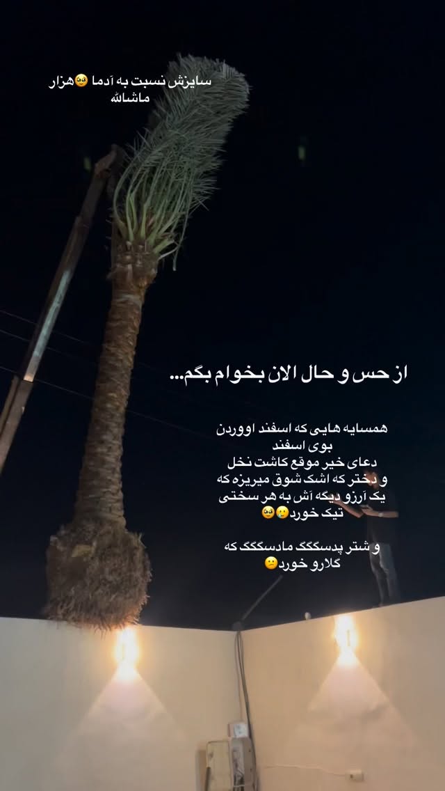  جدید ترین استوری اینستاگرام زهرا تاجیک