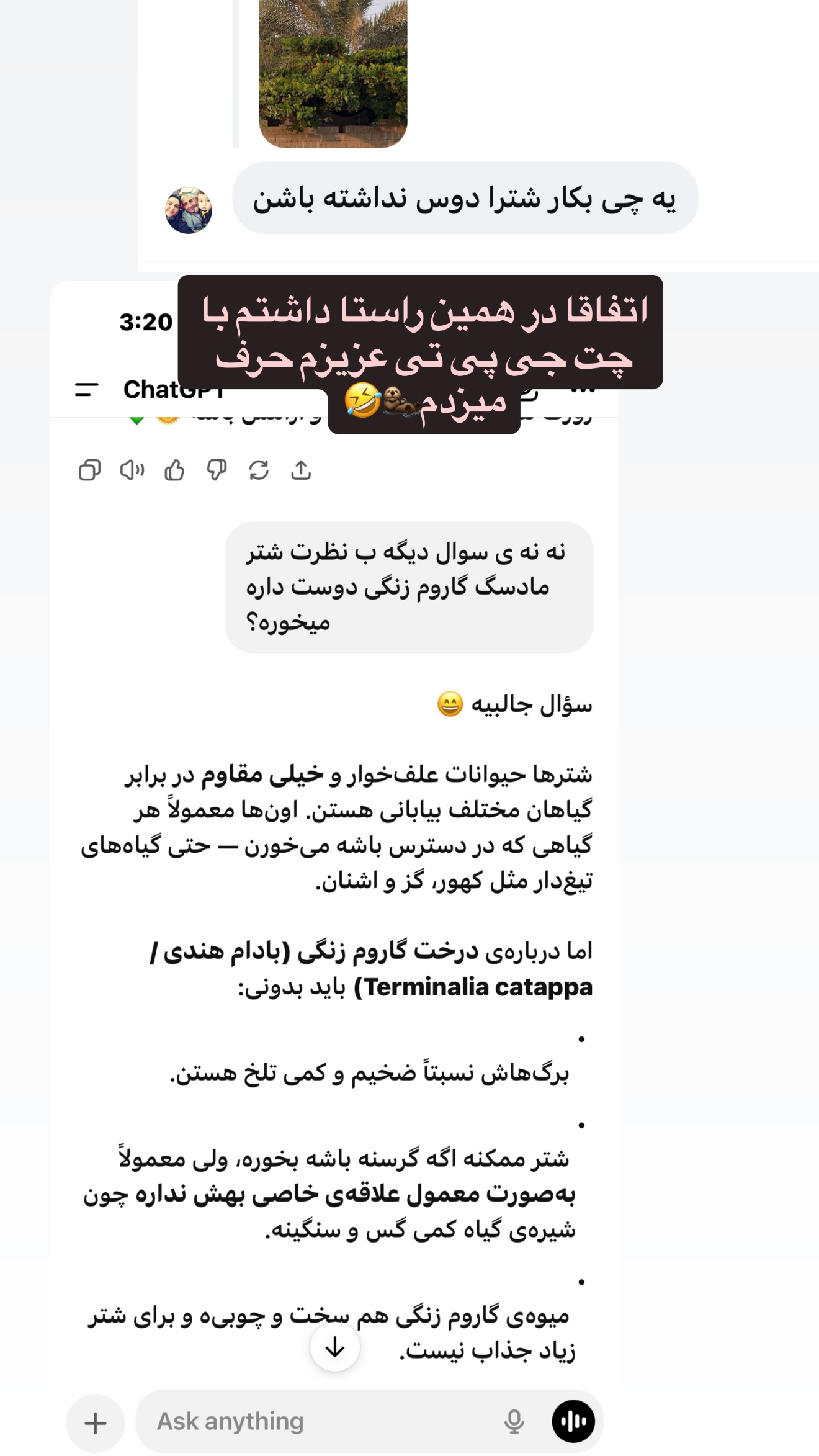  جدید ترین استوری اینستاگرام زهرا تاجیک